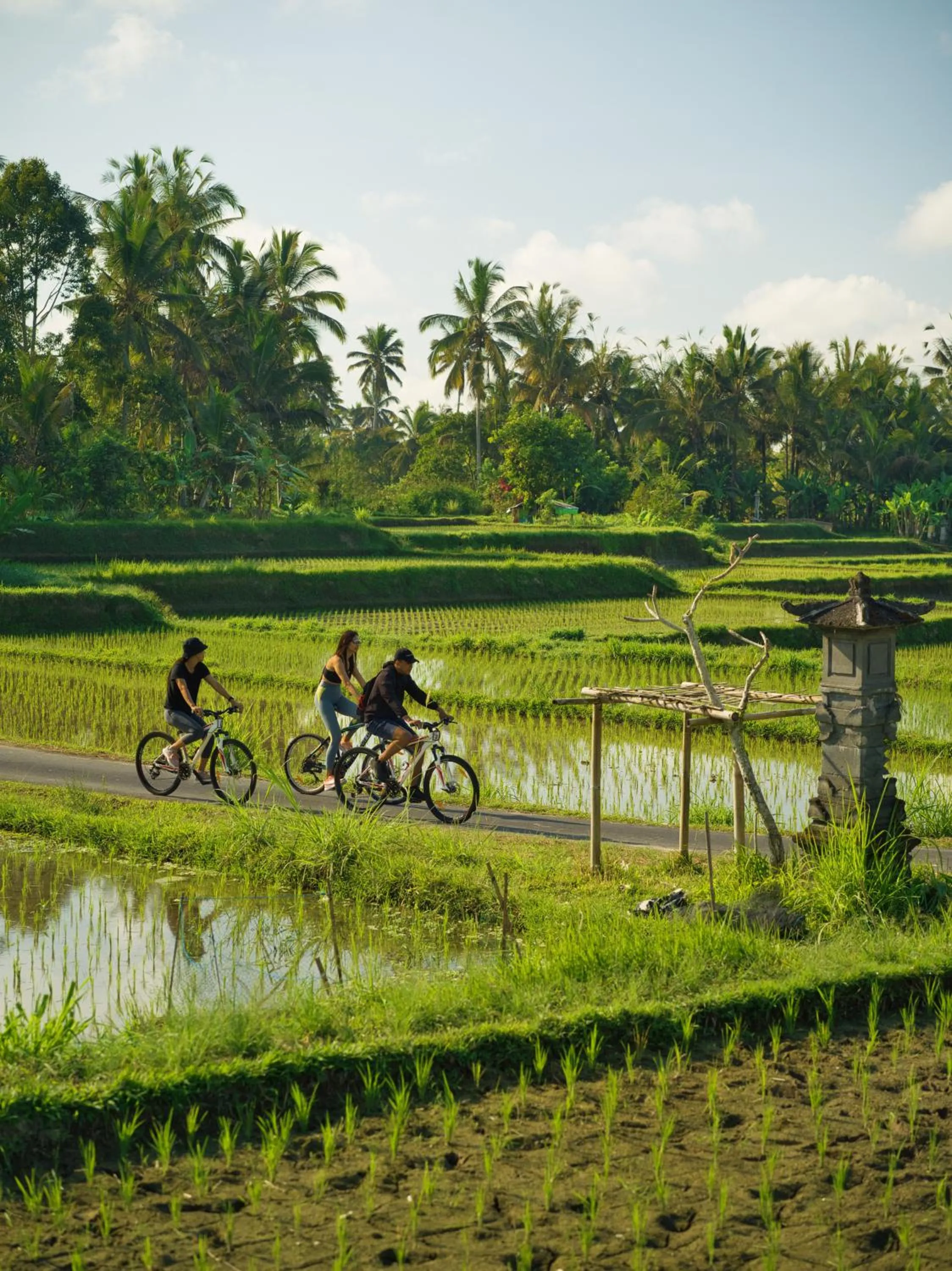 Day in Nandini Jungle by Hanging Gardens