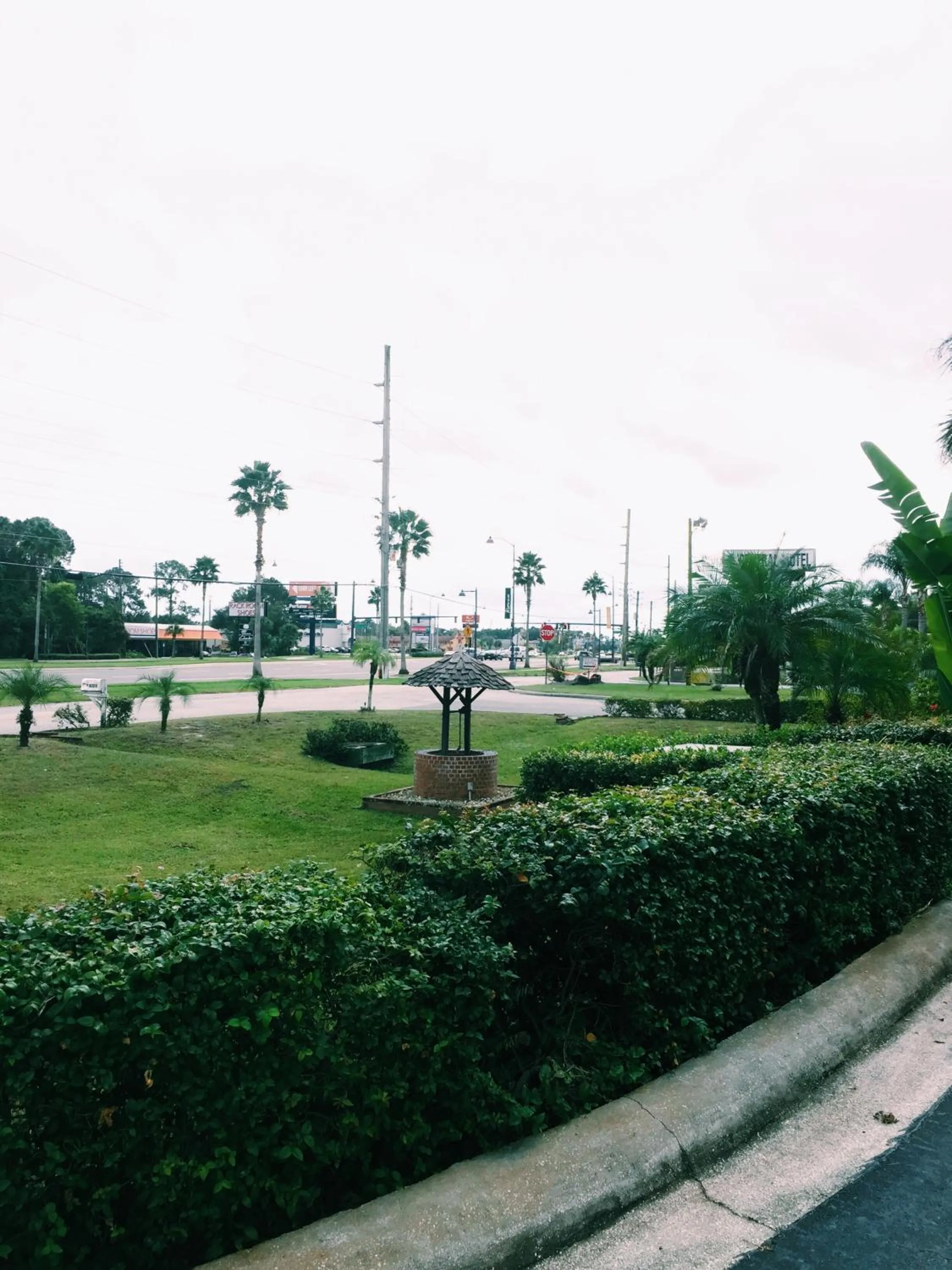 Natural landscape in Red Carpet Inn Kissimmee