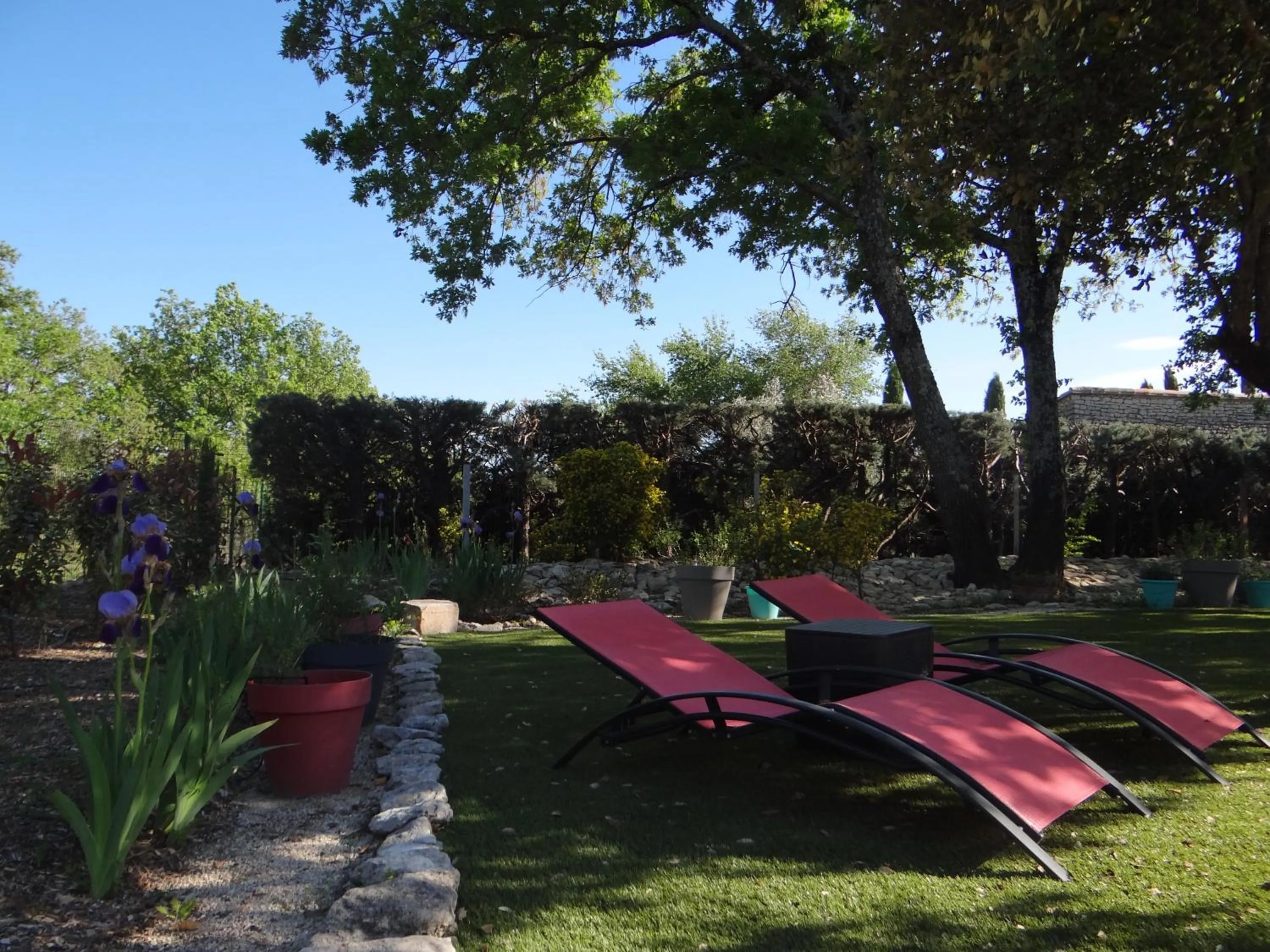 Swimming pool in Mas Val-Chênaie Gordes