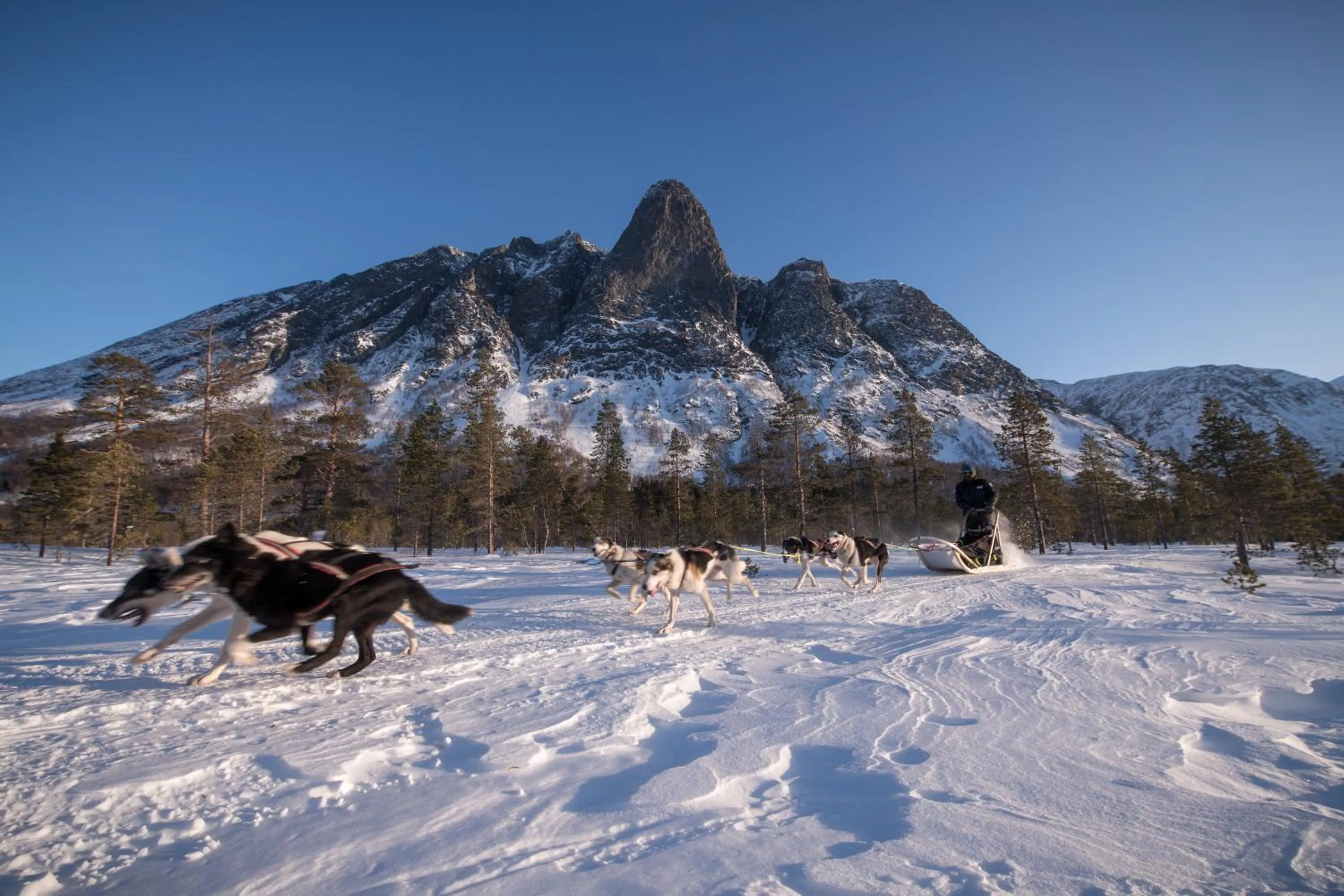 Activities in Reisafjord Hotel