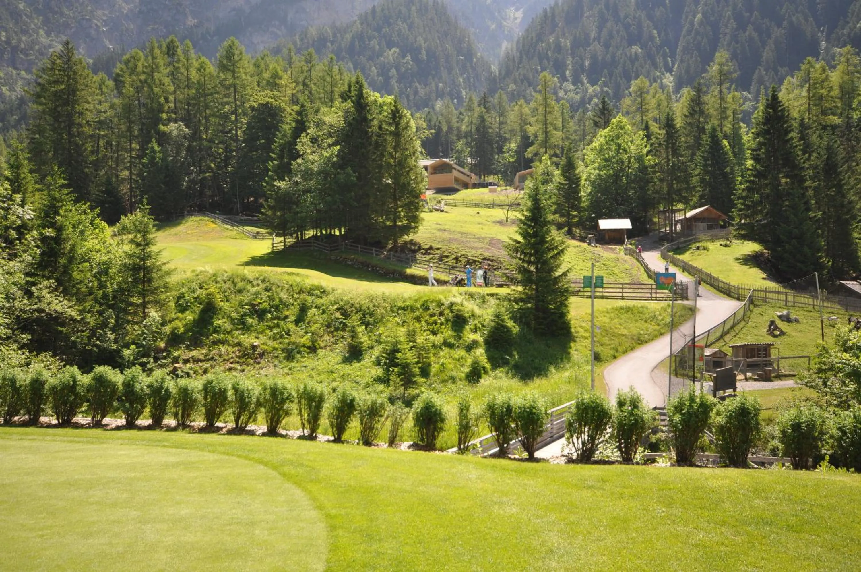 Golfcourse in Hotel Sonne