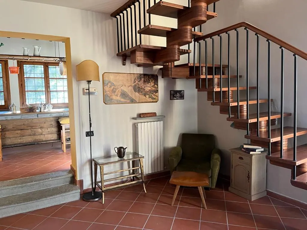 Gatto Bianco Tizzauli