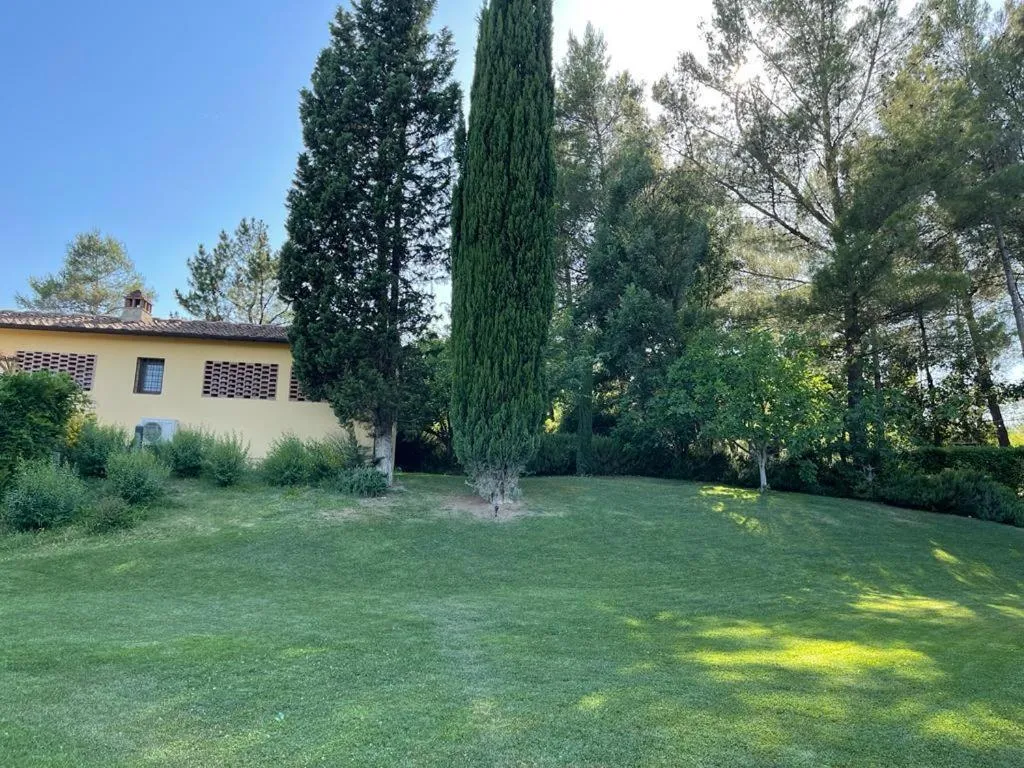 Gatto Bianco Tizzauli