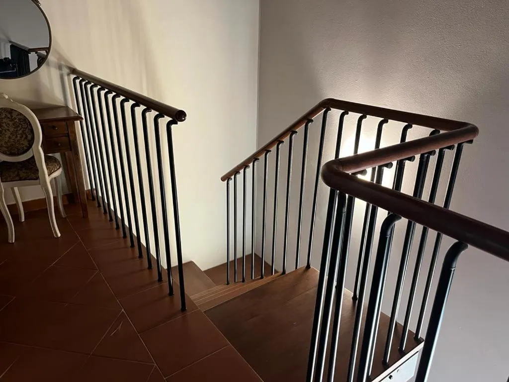 Gatto Bianco Tizzauli