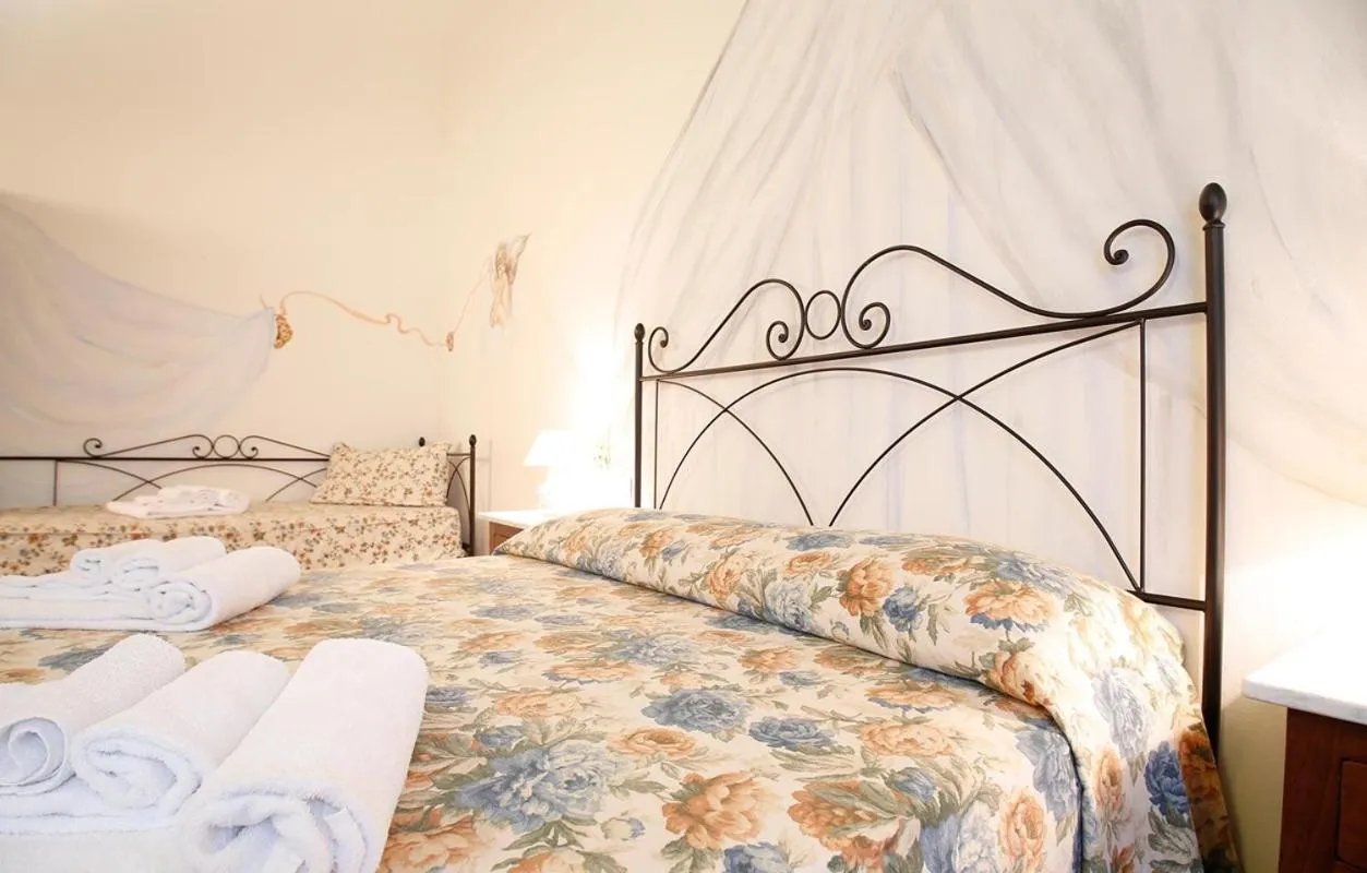 Gatto Bianco Tizzauli