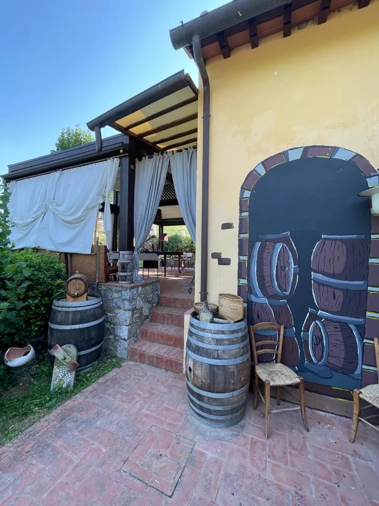 Gatto Bianco Tizzauli