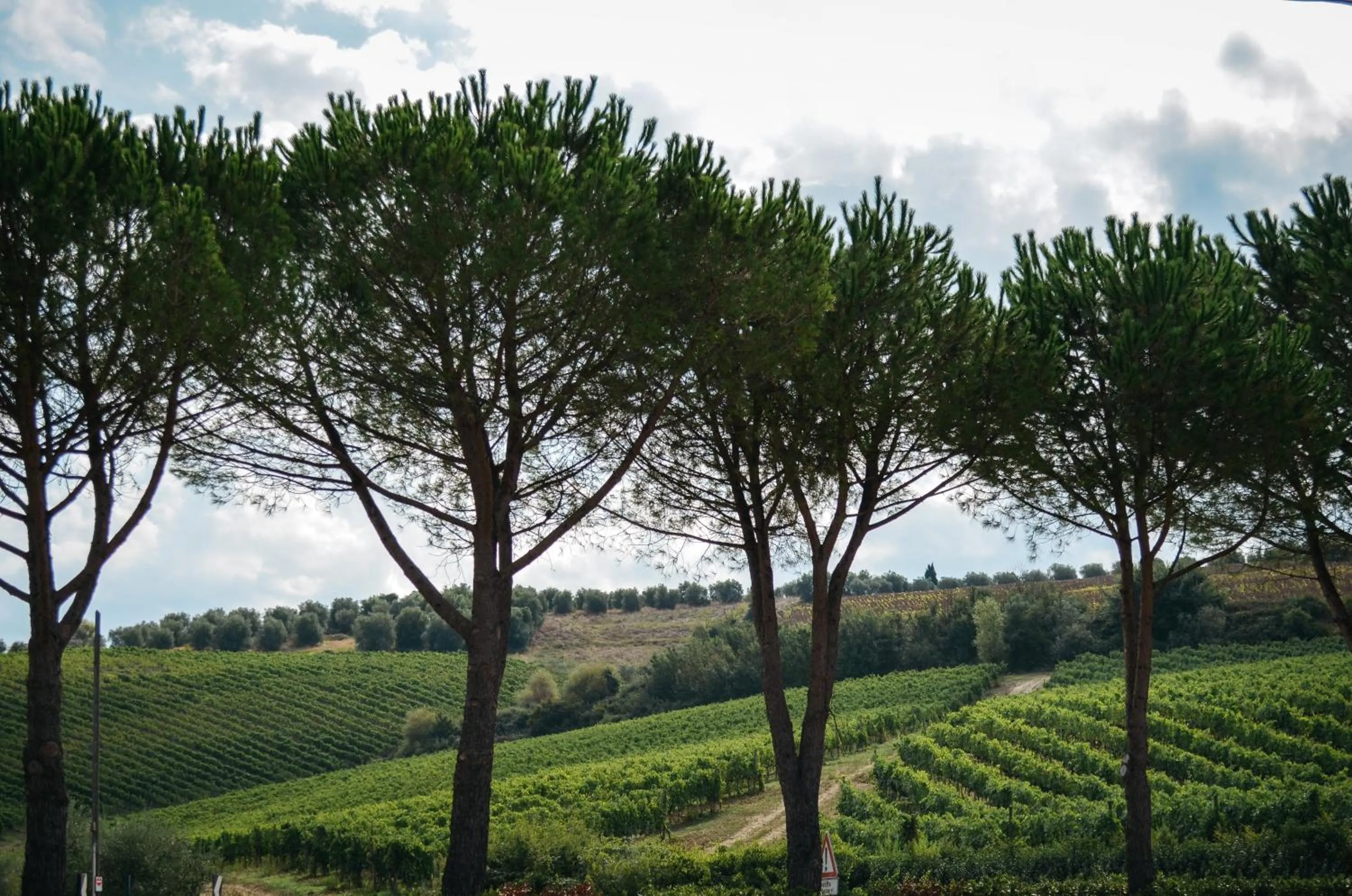 Activities in Gatto Bianco Tizzauli