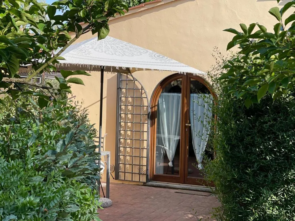 Gatto Bianco Tizzauli