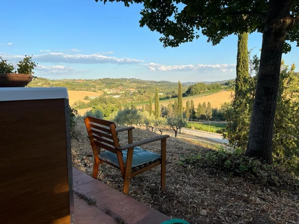 Gatto Bianco Tizzauli