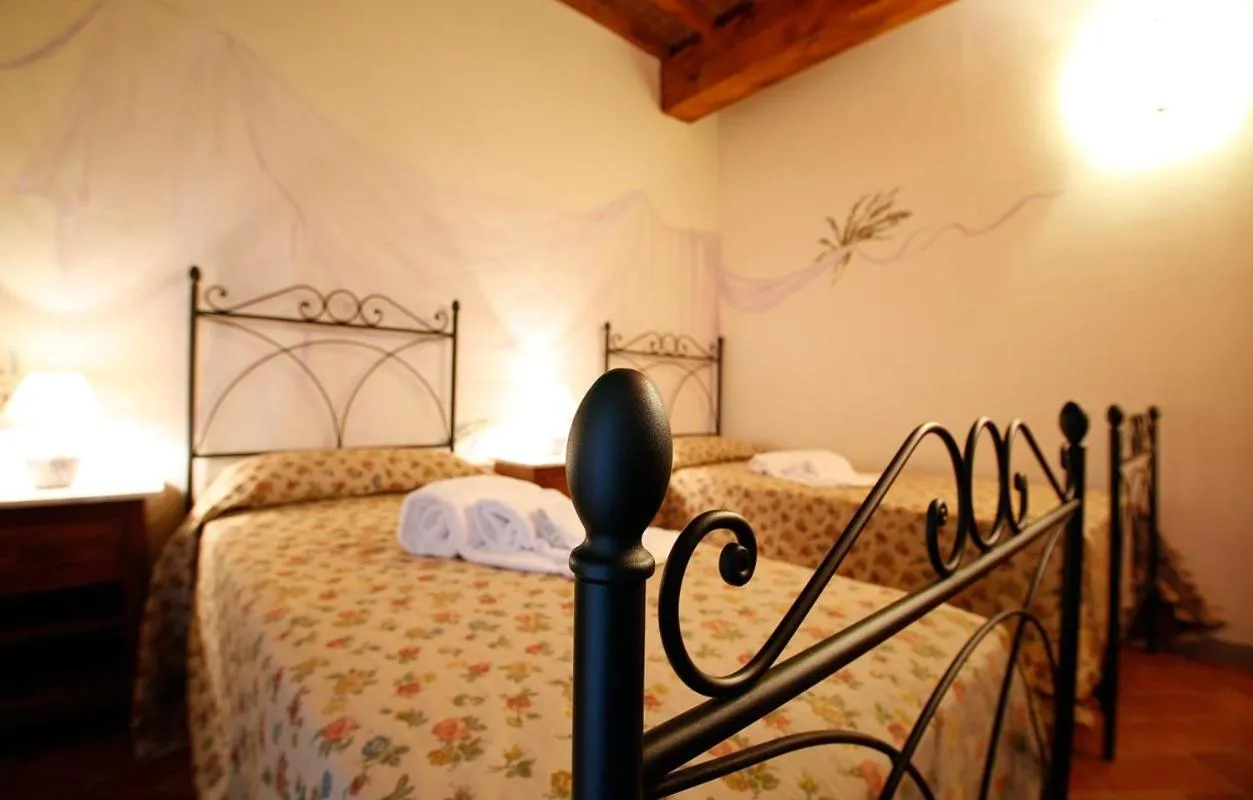 Gatto Bianco Tizzauli