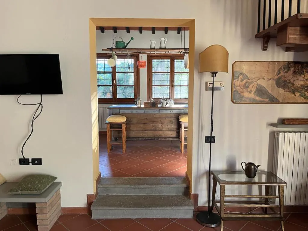 Gatto Bianco Tizzauli