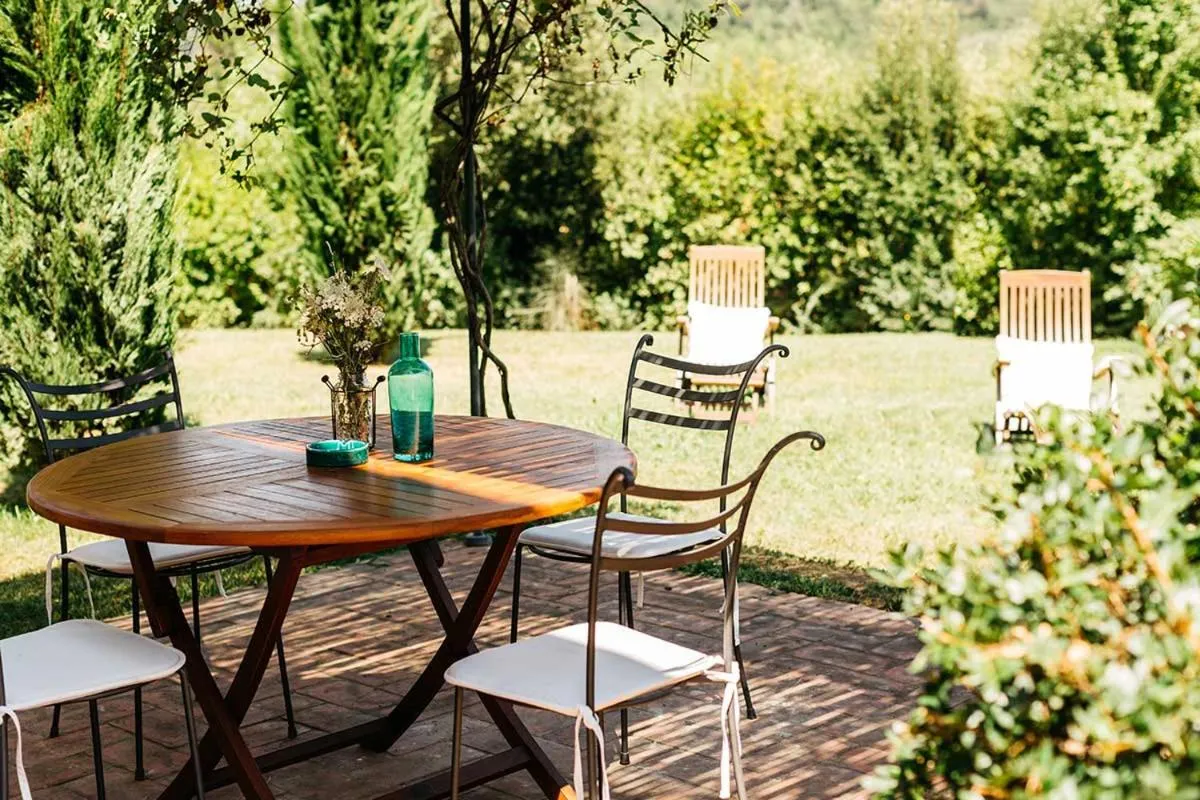 Gatto Bianco Tizzauli