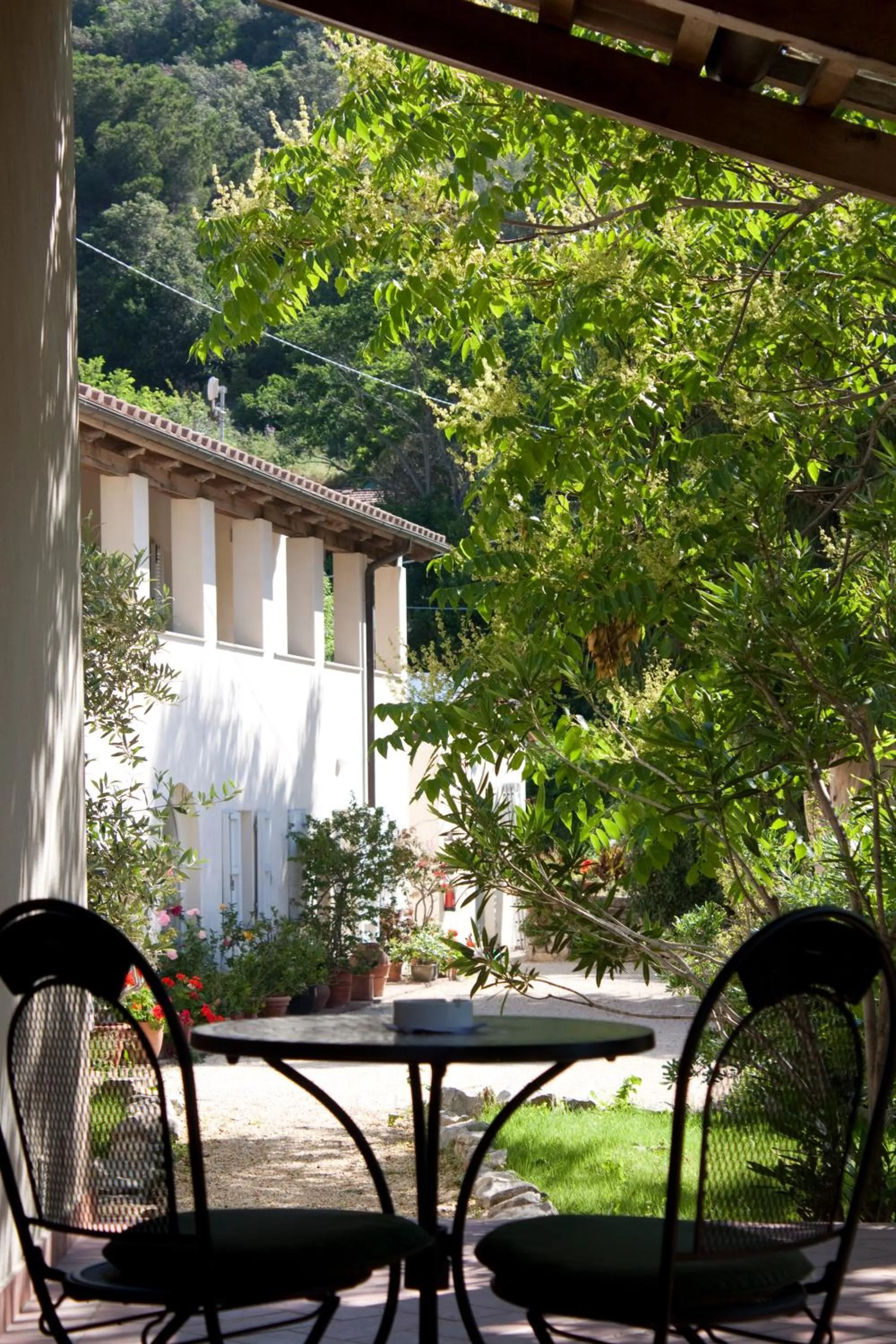 Garden in Hotel Santo Stefano