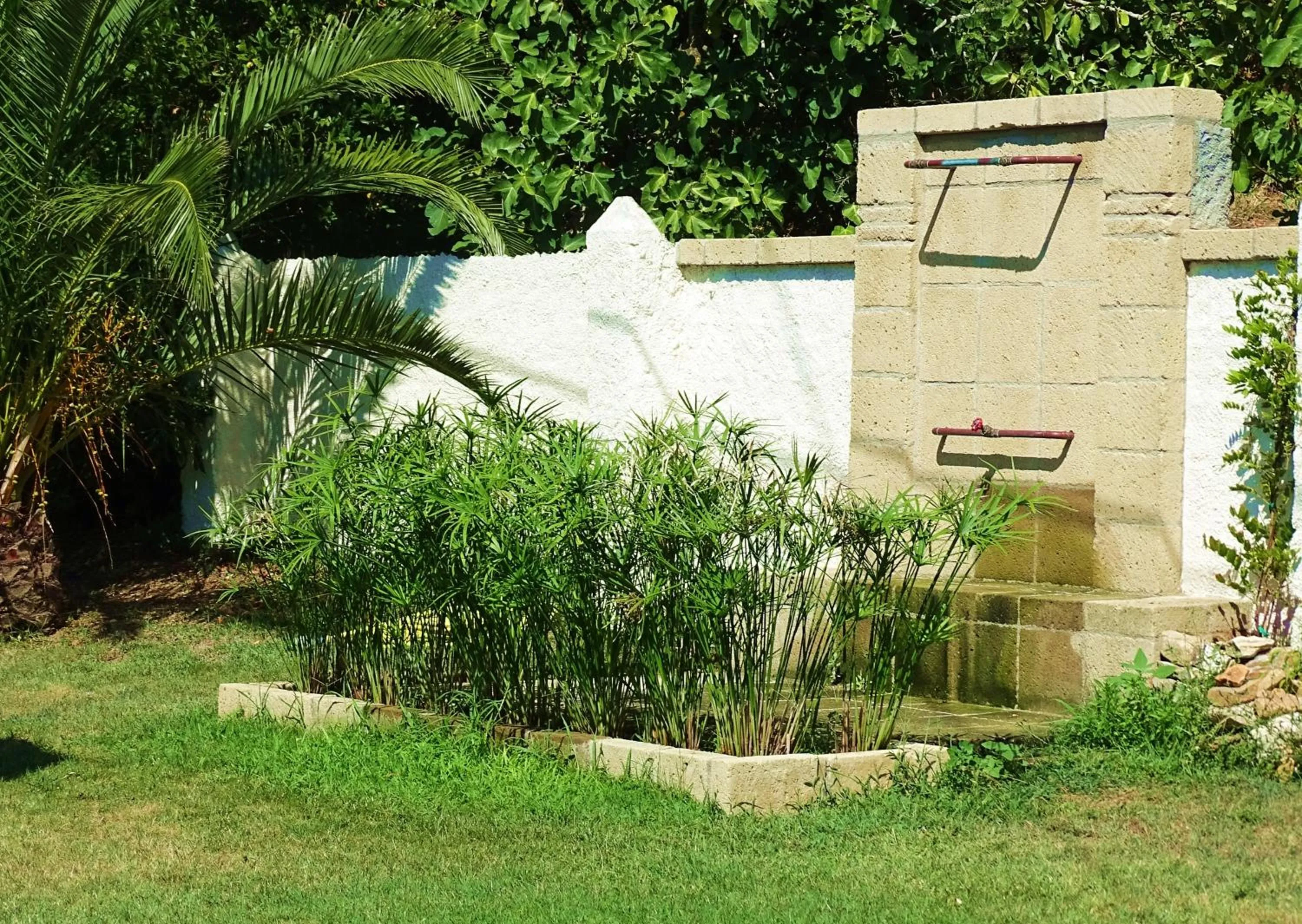 Garden in Hotel Santo Stefano