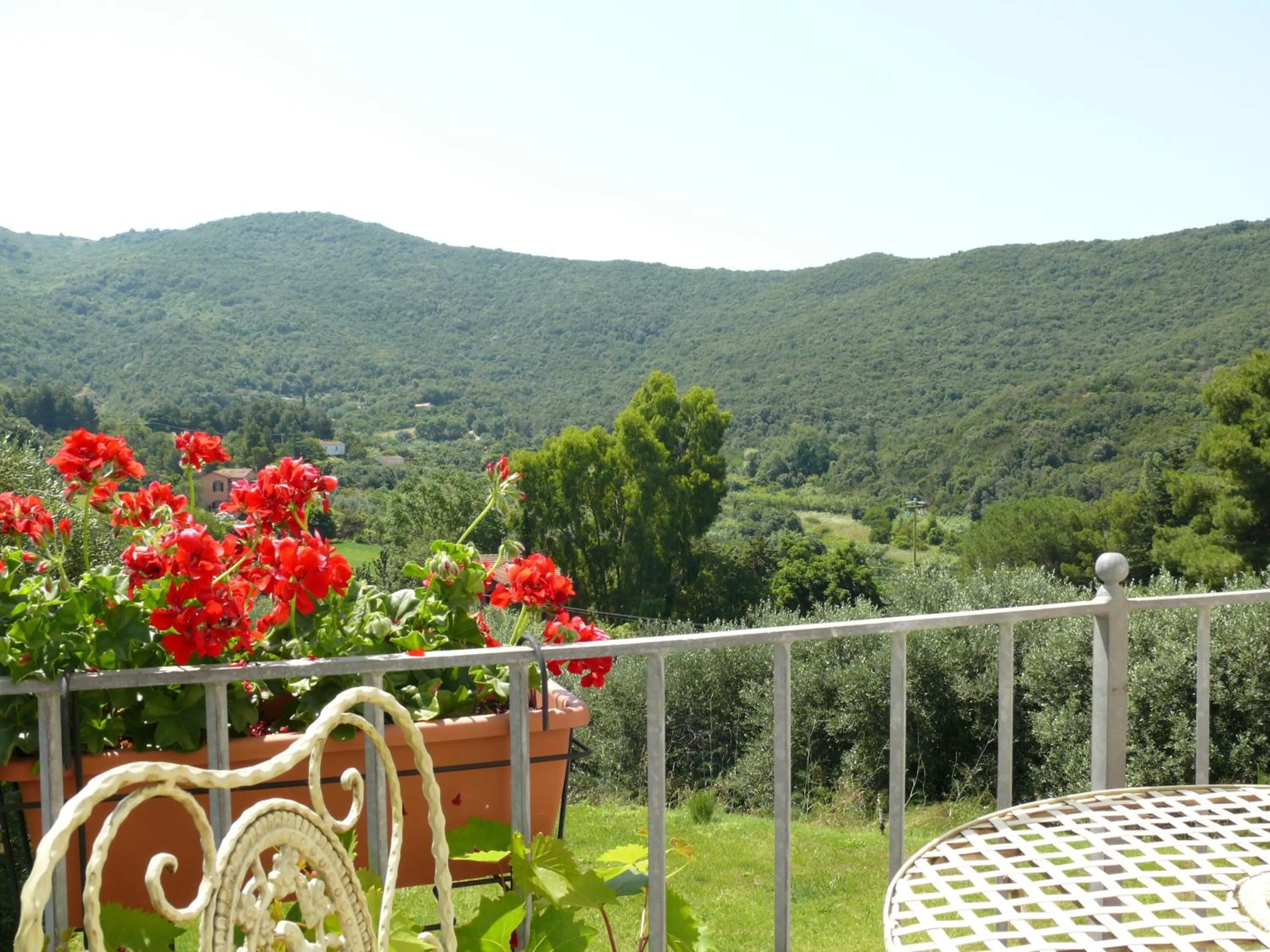 Garden view in Hotel Santo Stefano
