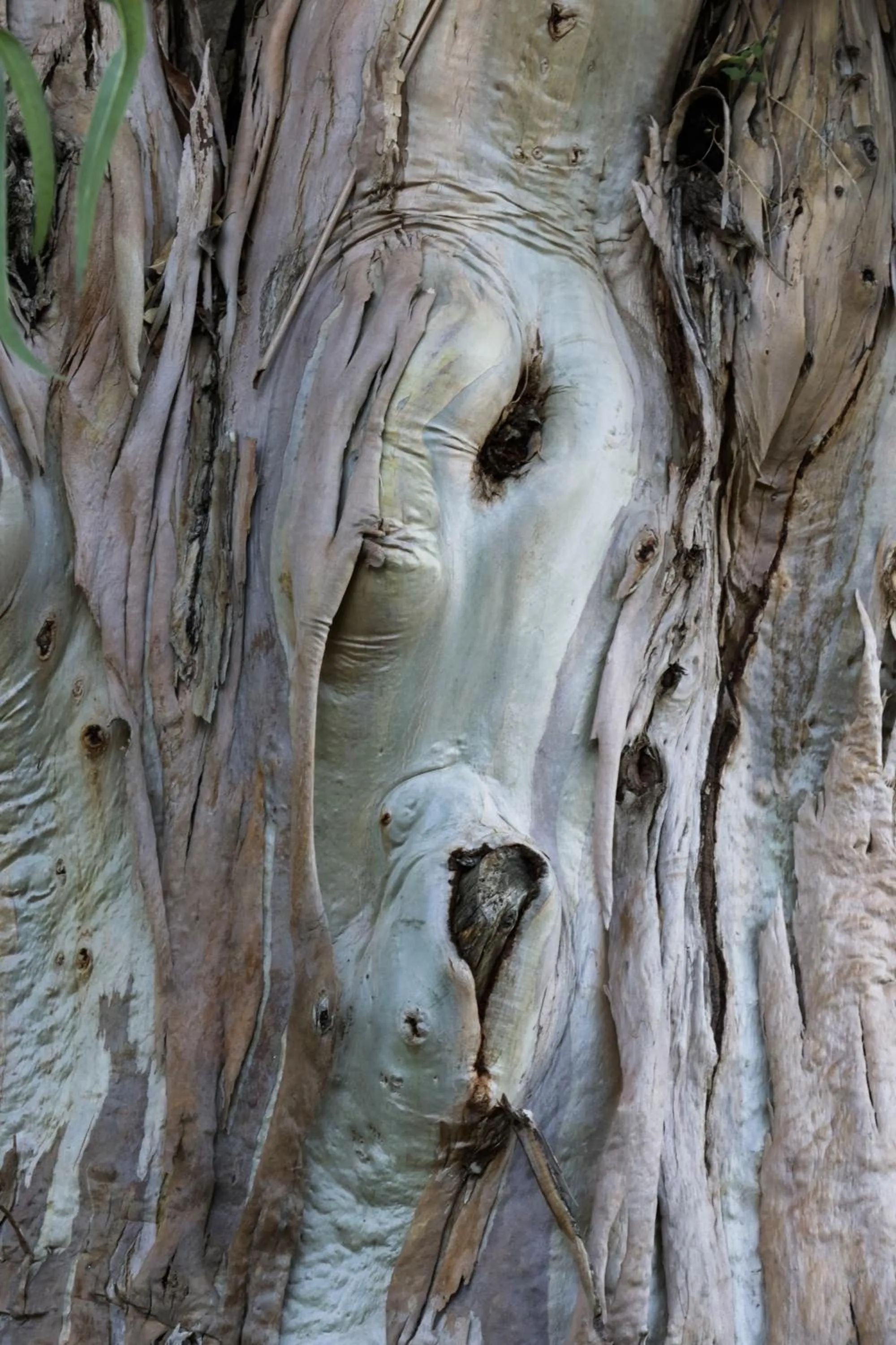 Garden in Hotel Santo Stefano