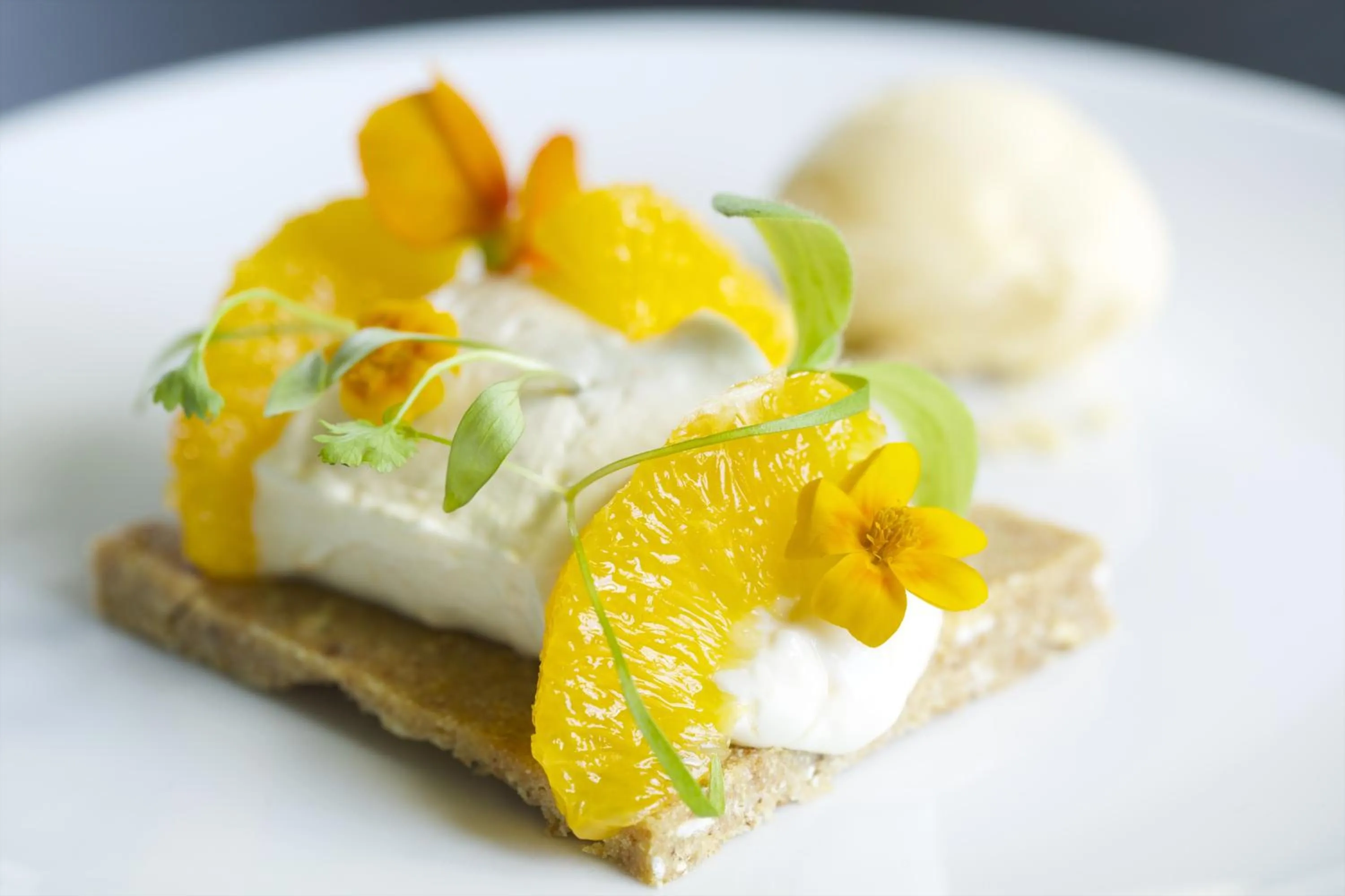 Food in The Manor at Sway – Hotel, Restaurant and Gardens