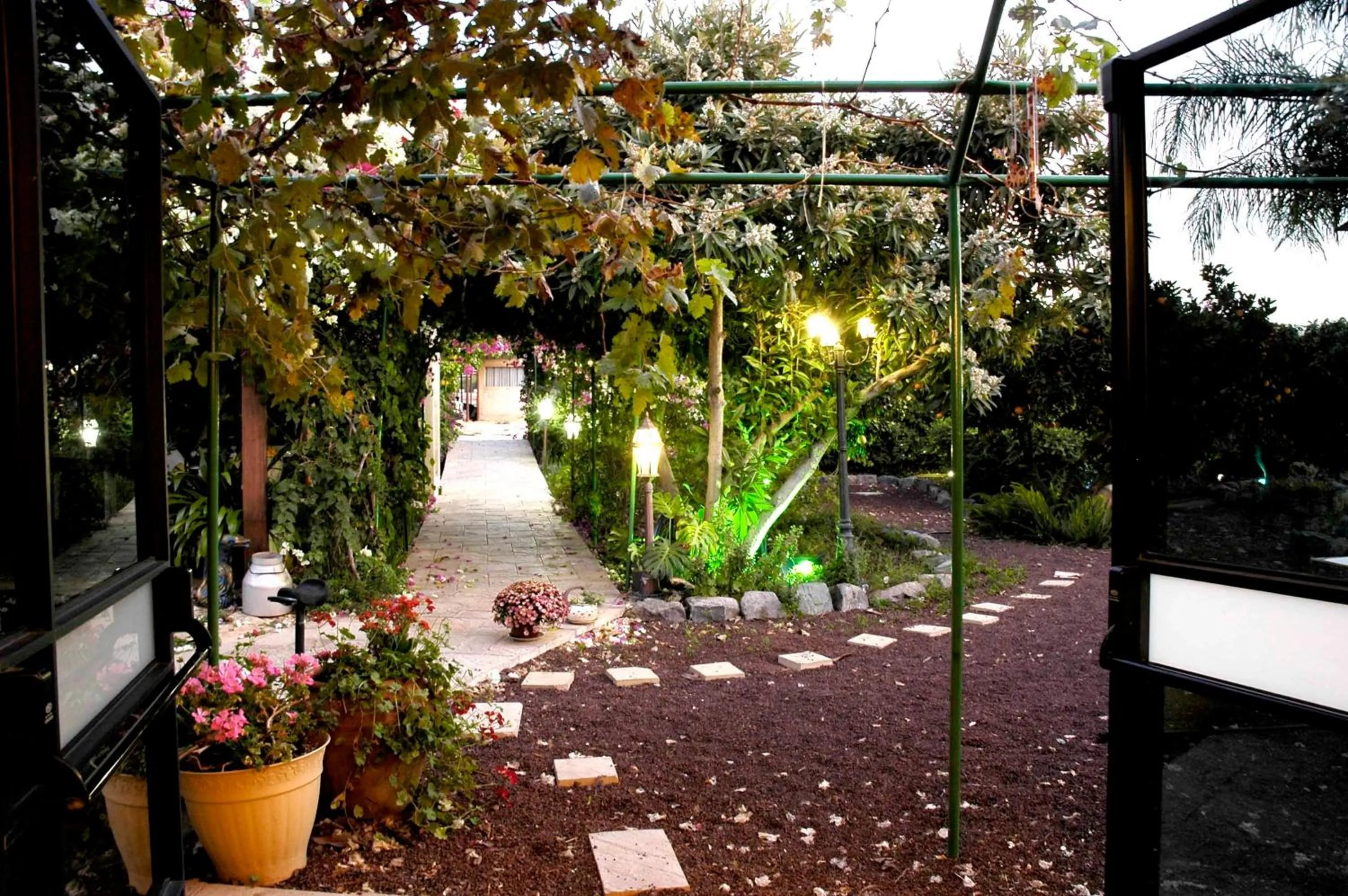 Garden in Arbel Guest House Shavit Family