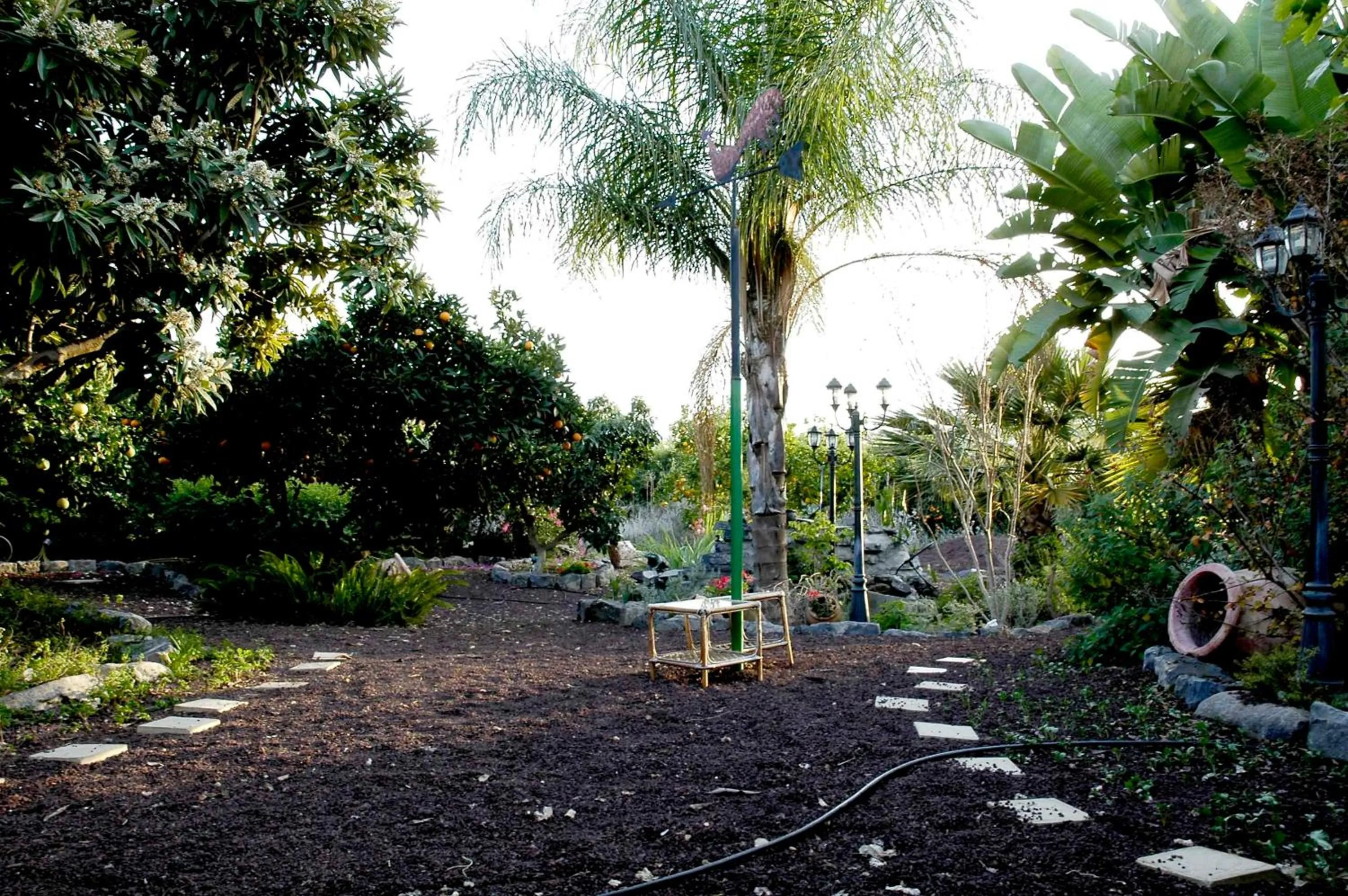 Garden in Arbel Guest House Shavit Family