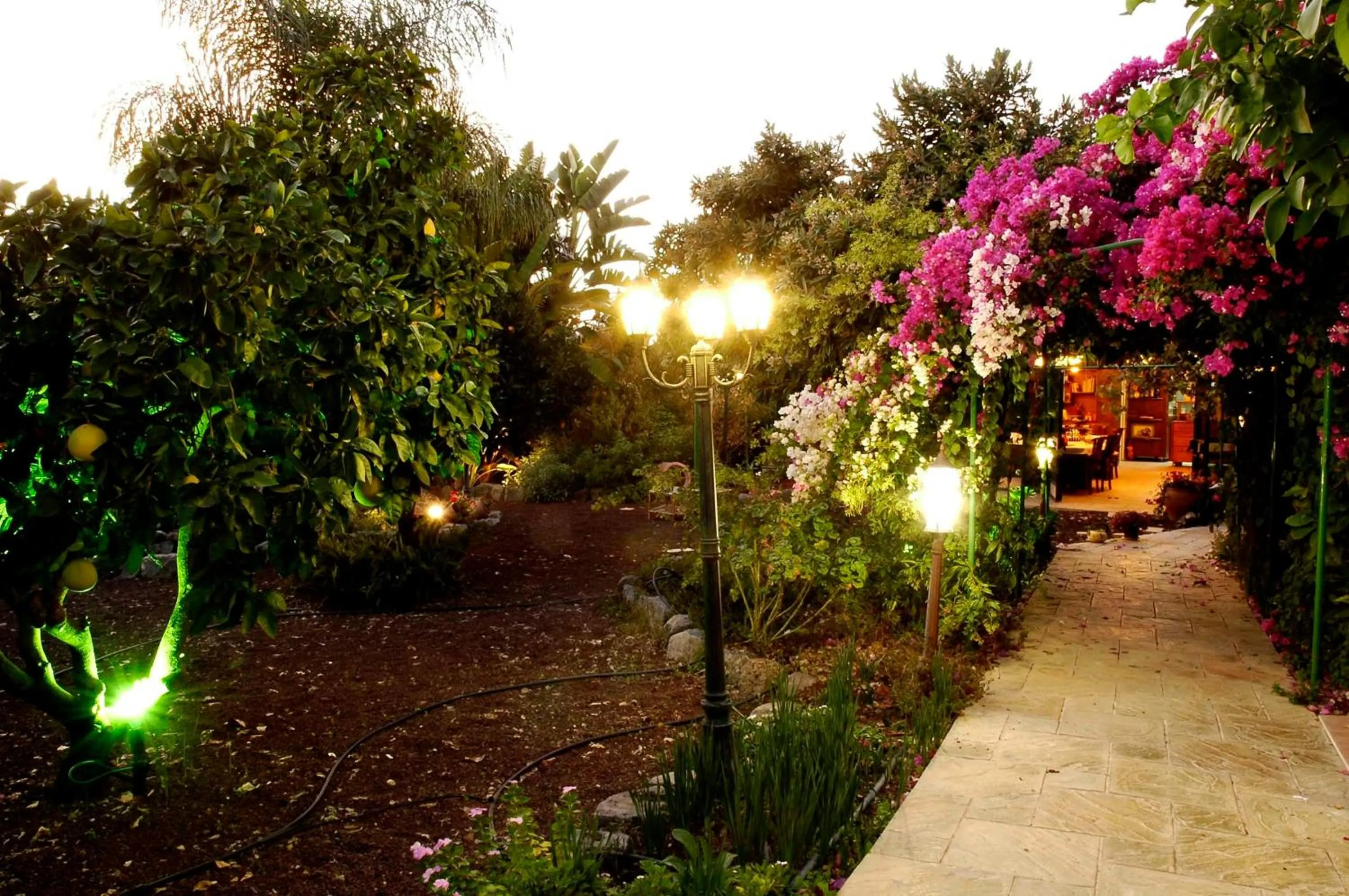 Garden in Arbel Guest House Shavit Family