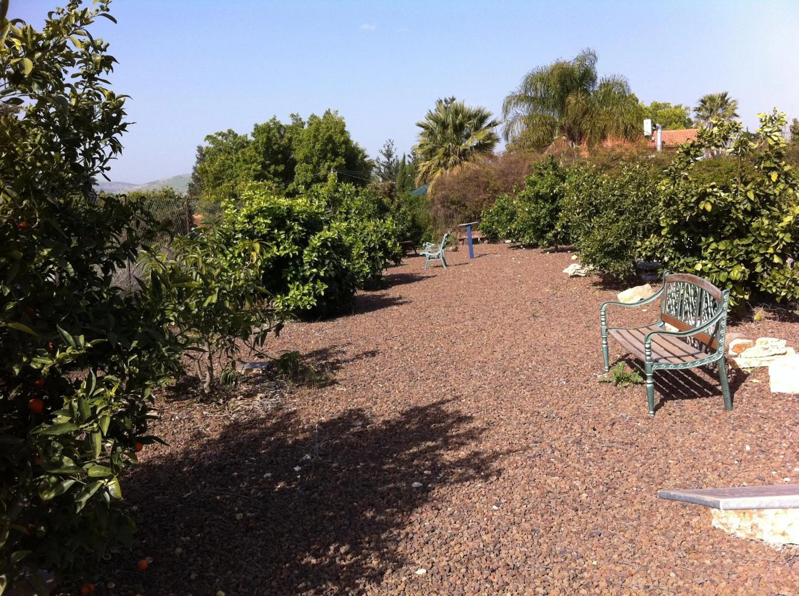 Garden in Arbel Guest House Shavit Family