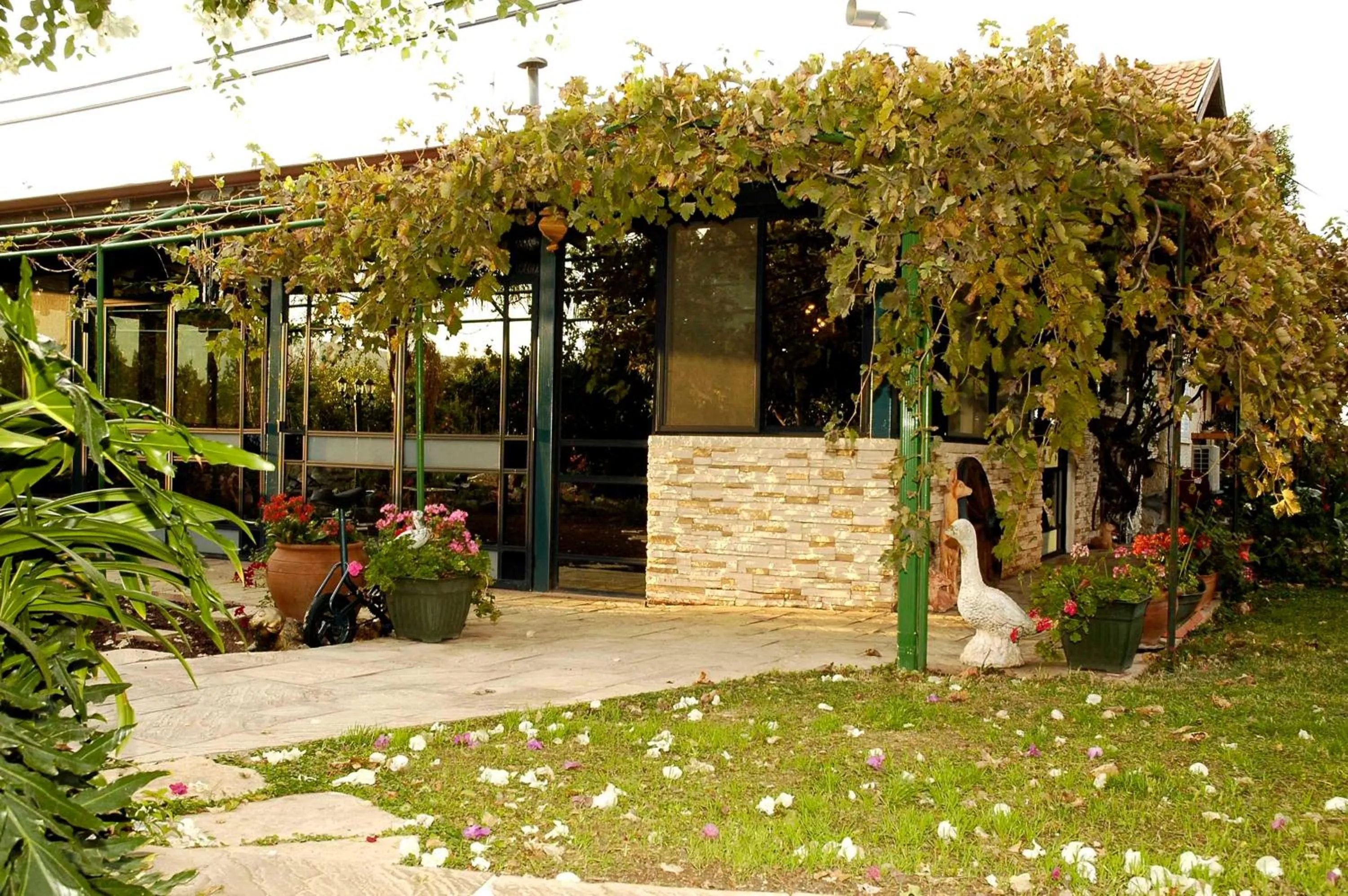 Facade/entrance in Arbel Guest House Shavit Family