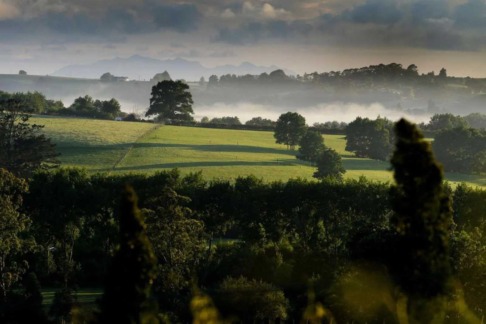 Other in Plume Villas