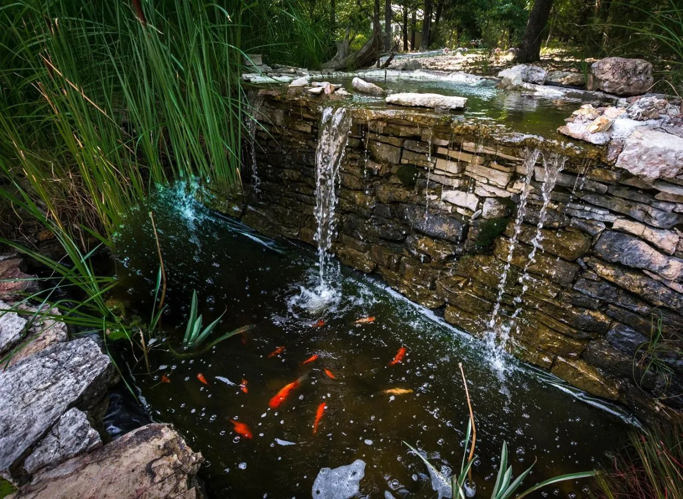 Natural landscape in Beaver Lake Cottages