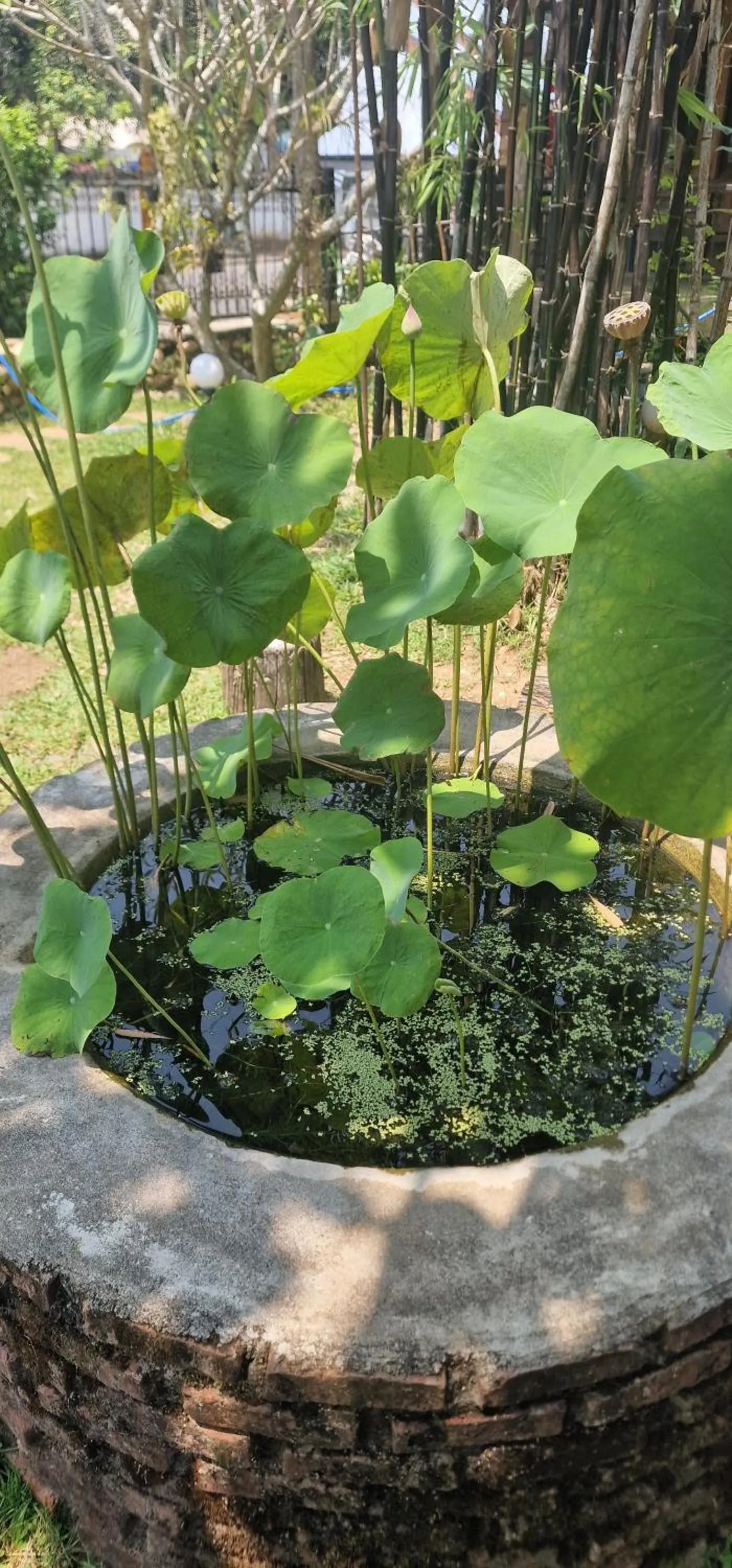 Spring in Kingfisher House