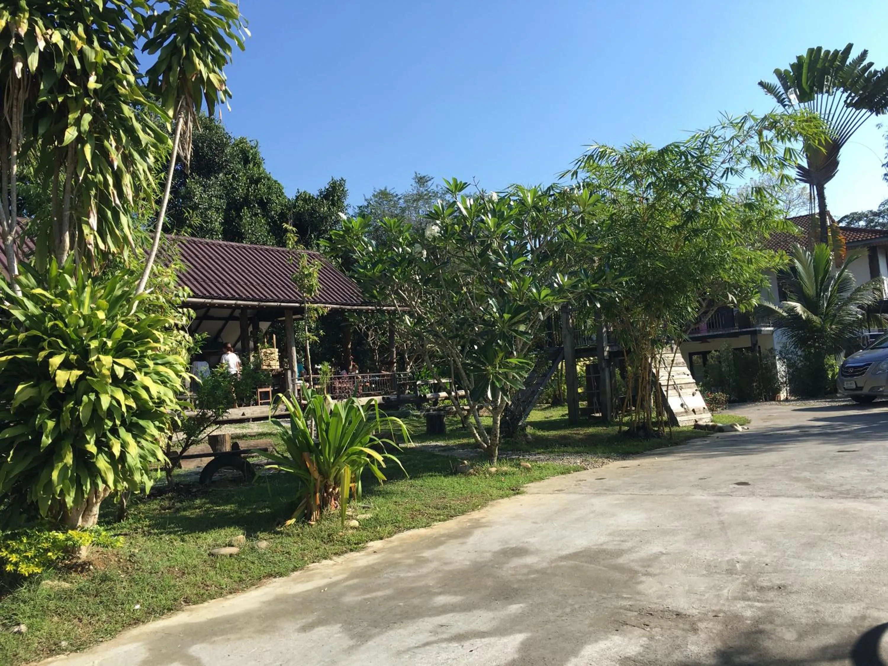 Garden view in Kingfisher House