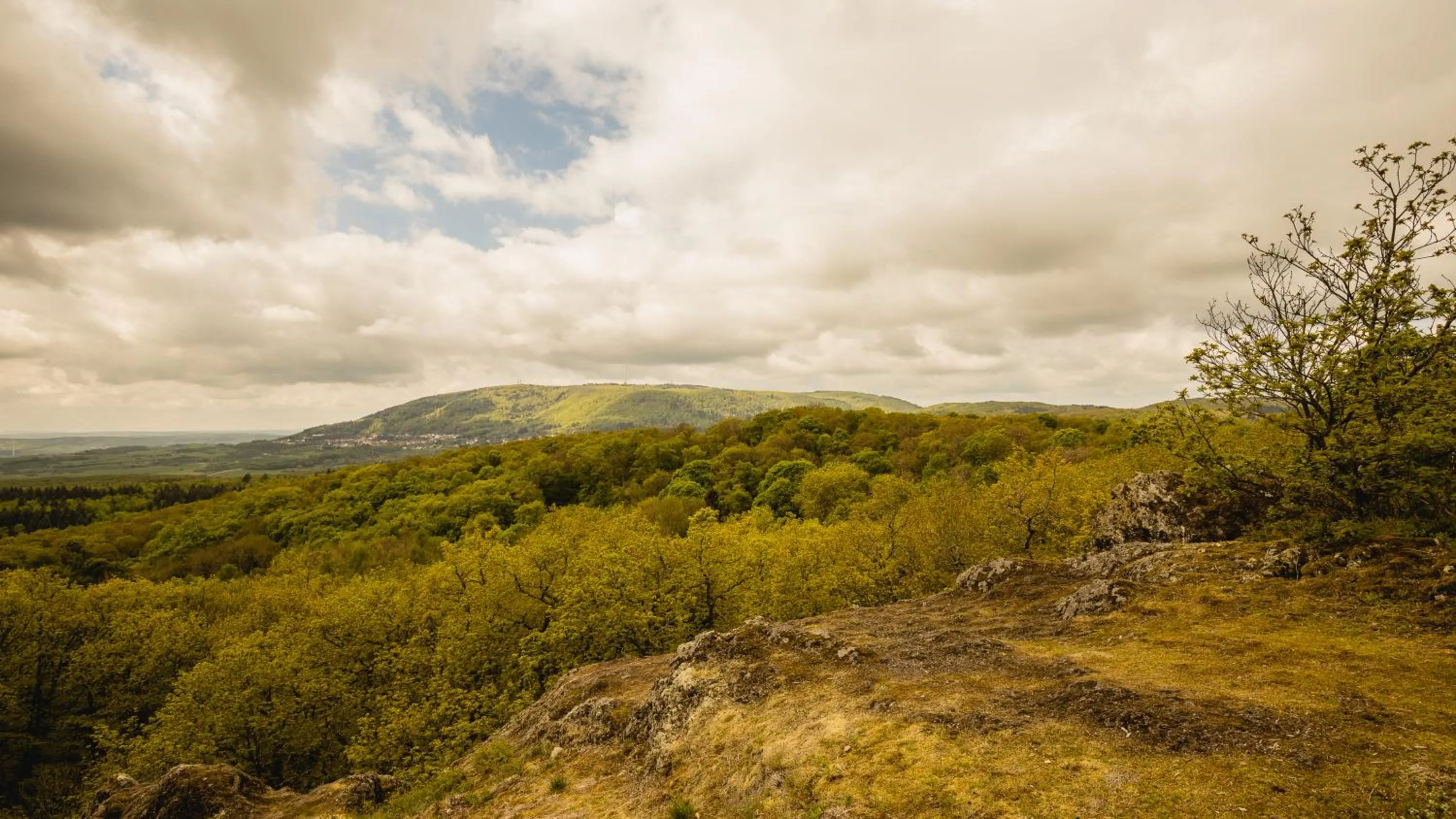 Natural landscape in Hotel - Restaurant Bastenhaus
