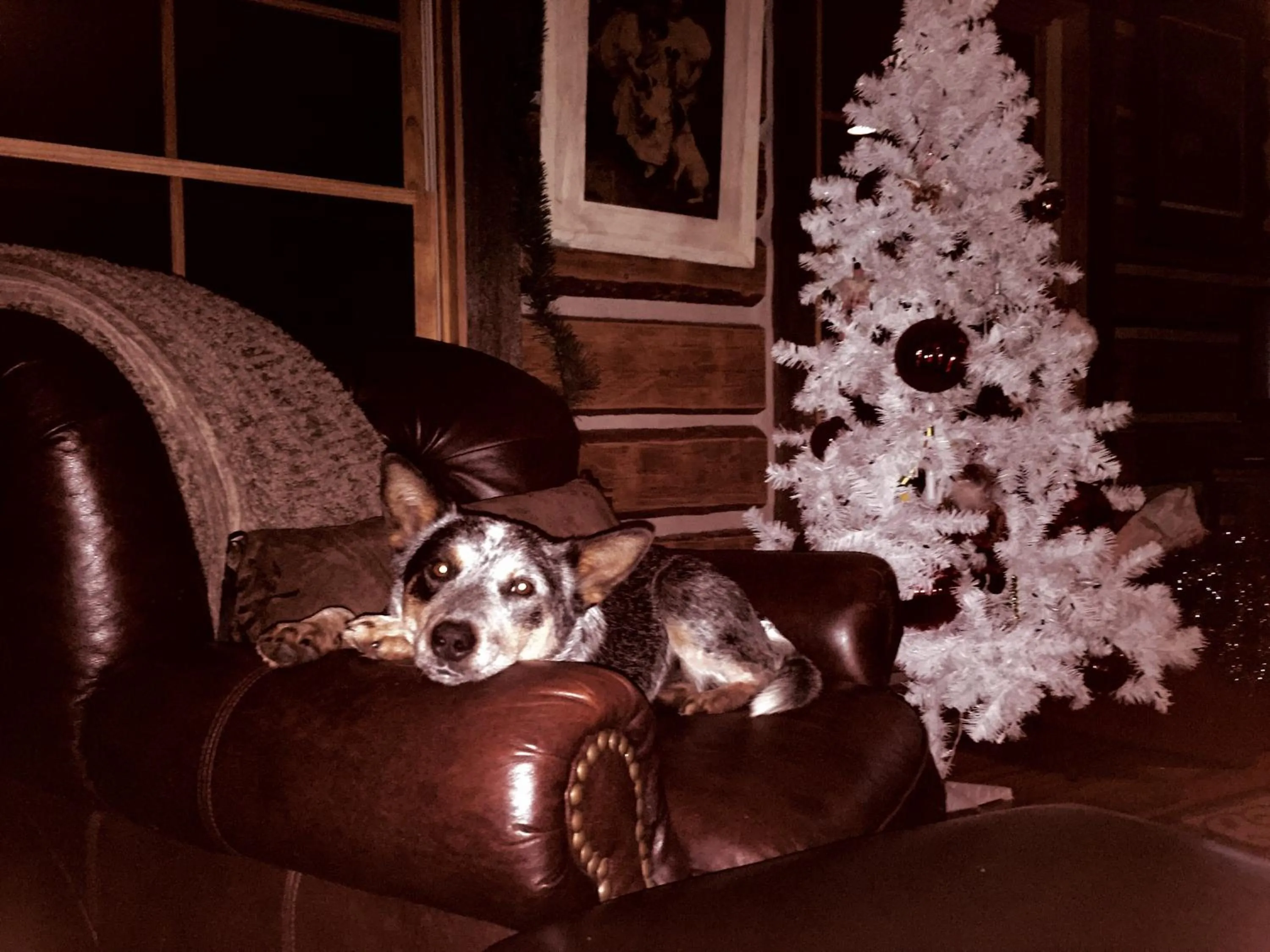 Living room in Schoolhouse Cabin