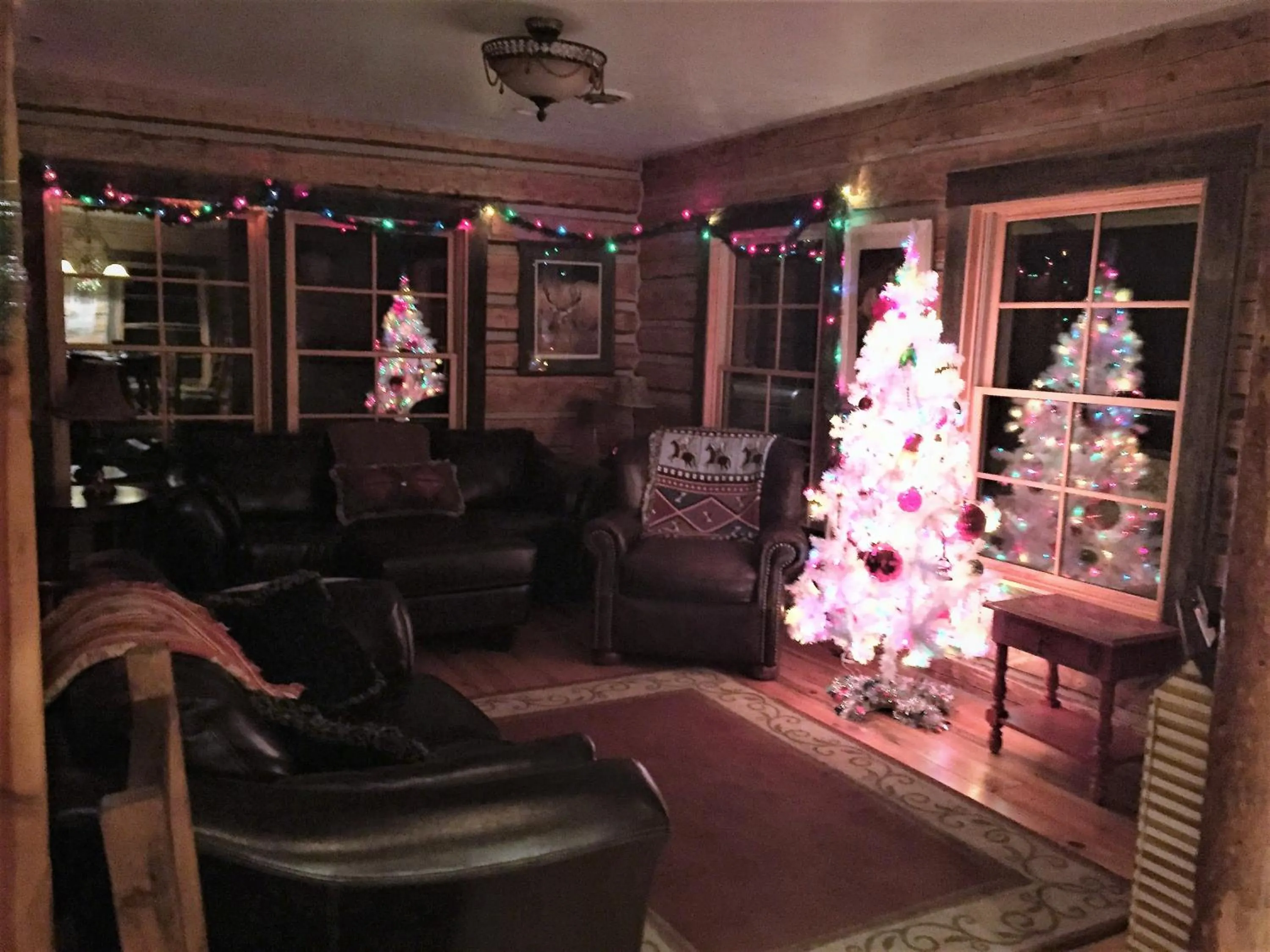 Living room in Schoolhouse Cabin