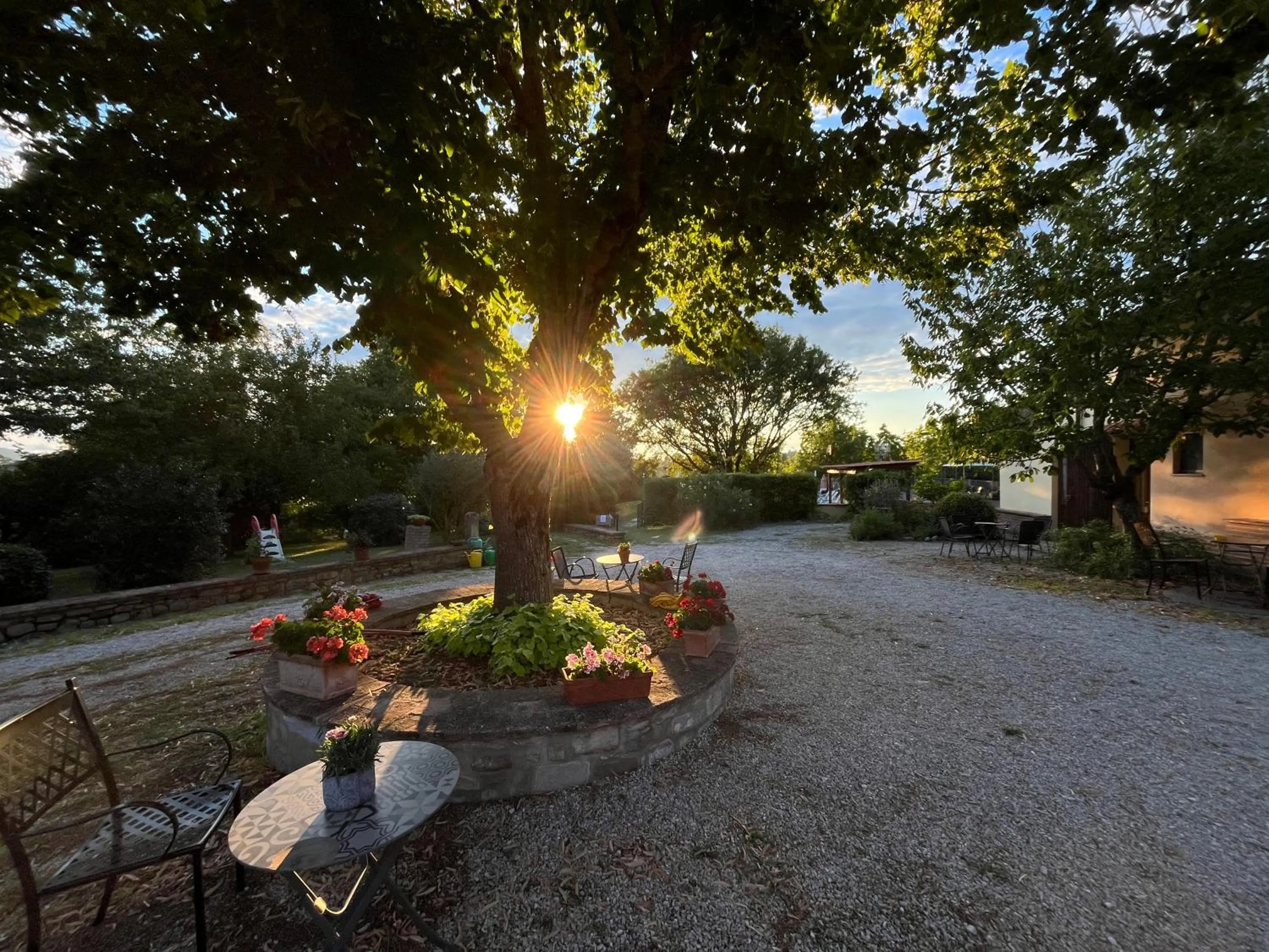 Agriturismo Collina Dei Fagiani