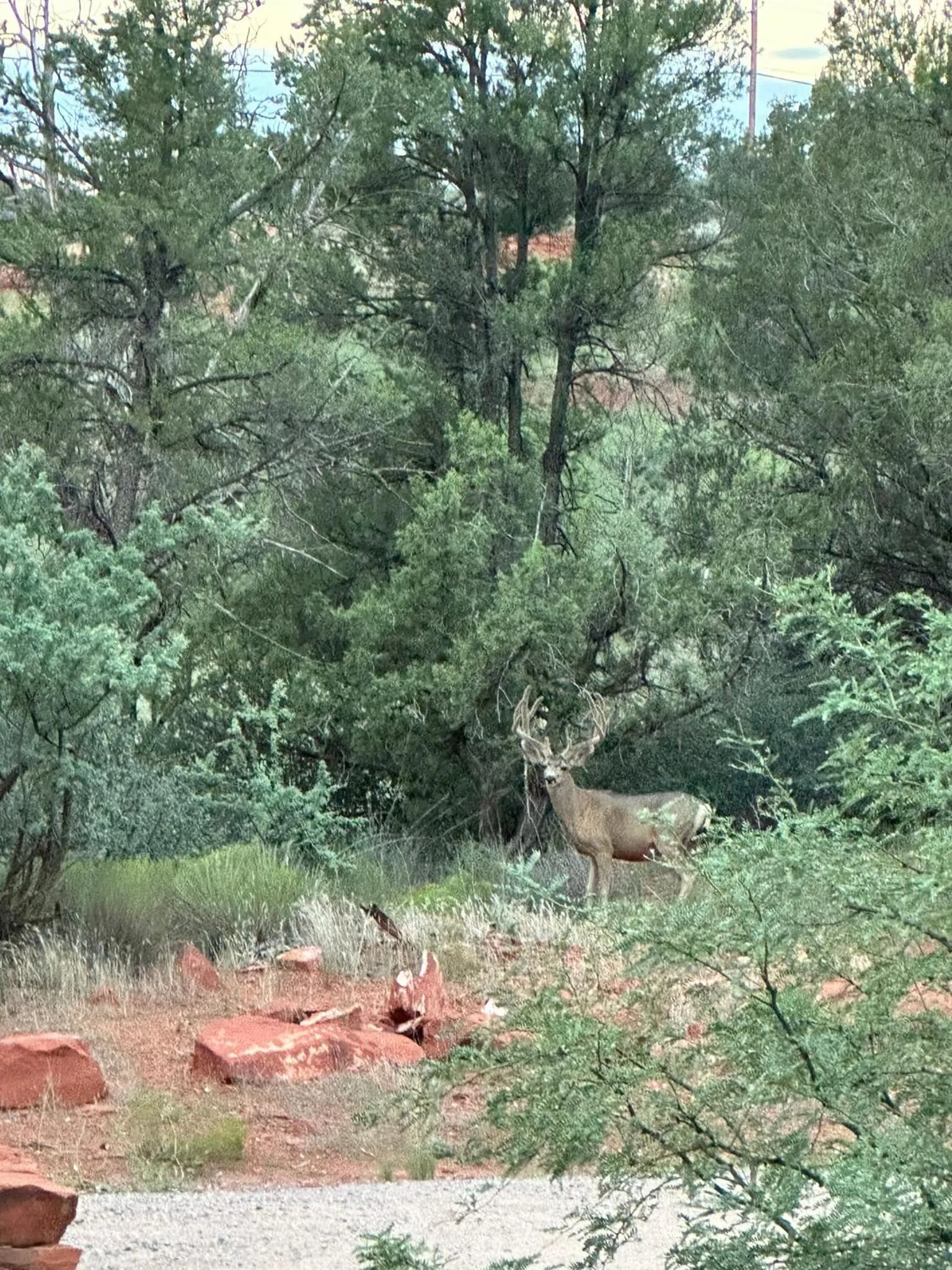 Property building in Sedona Cathedral Hideaway LLC