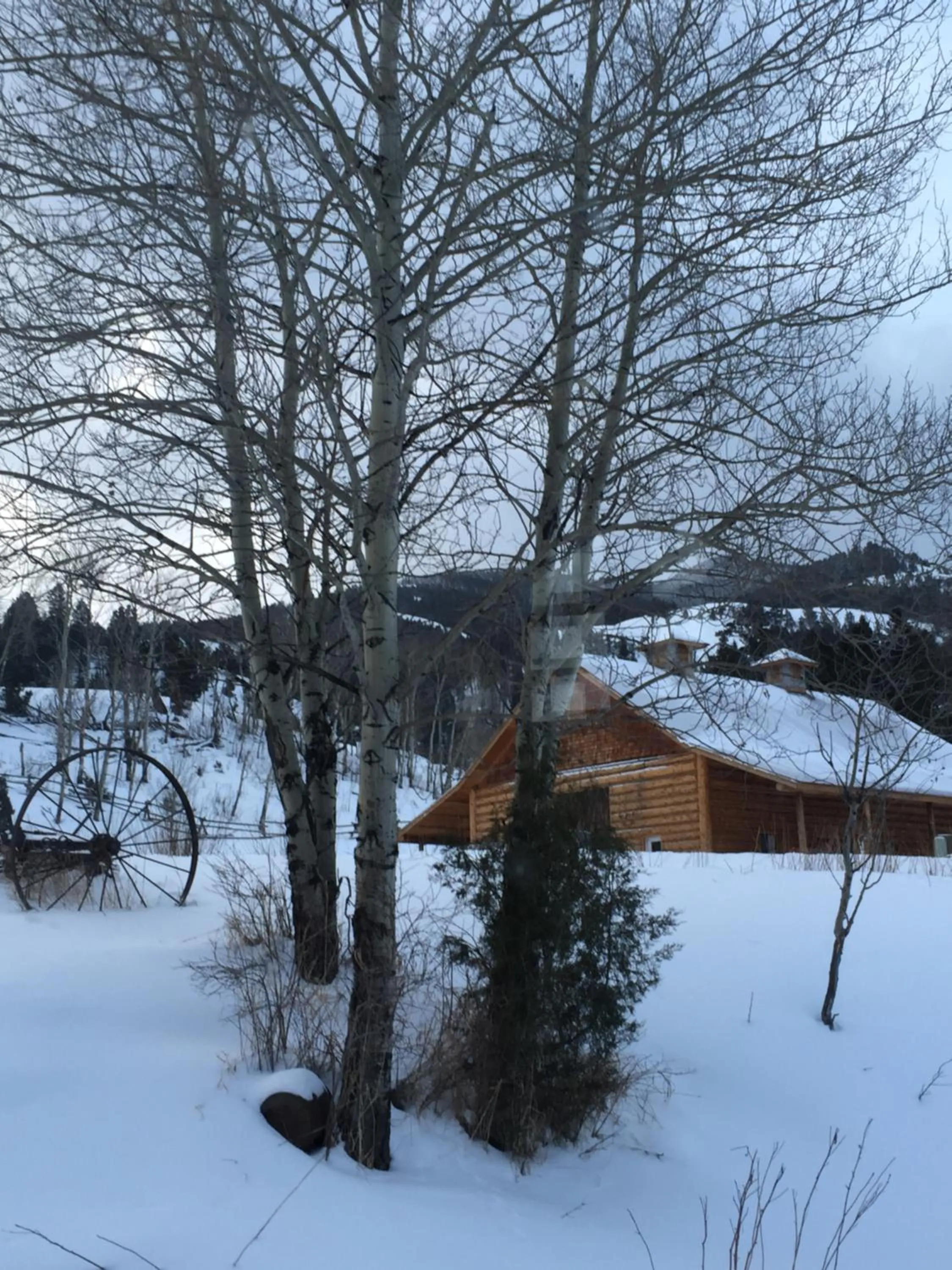 Property building in Grandpa's Cabin