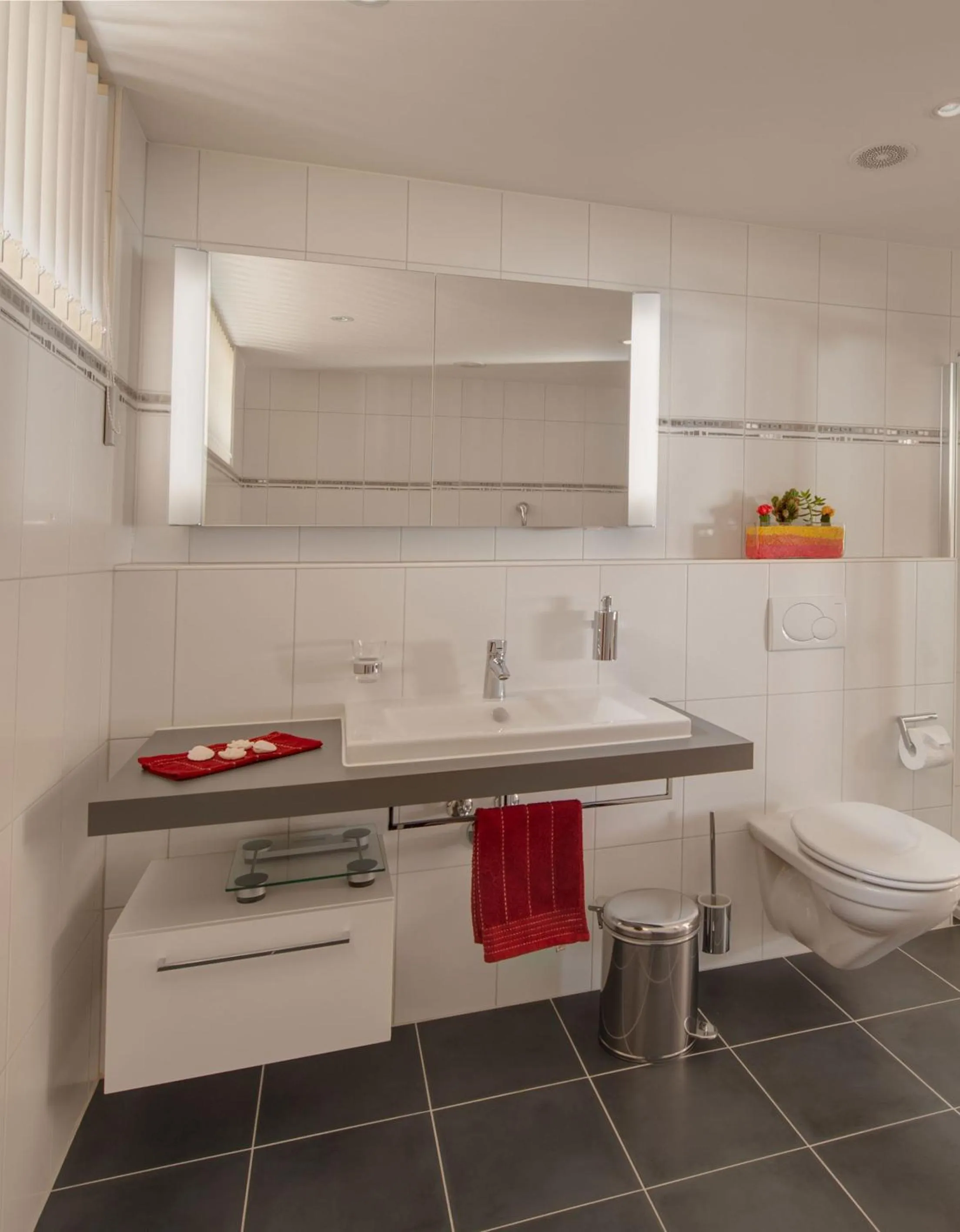 Bathroom in Apartment Meric Superior