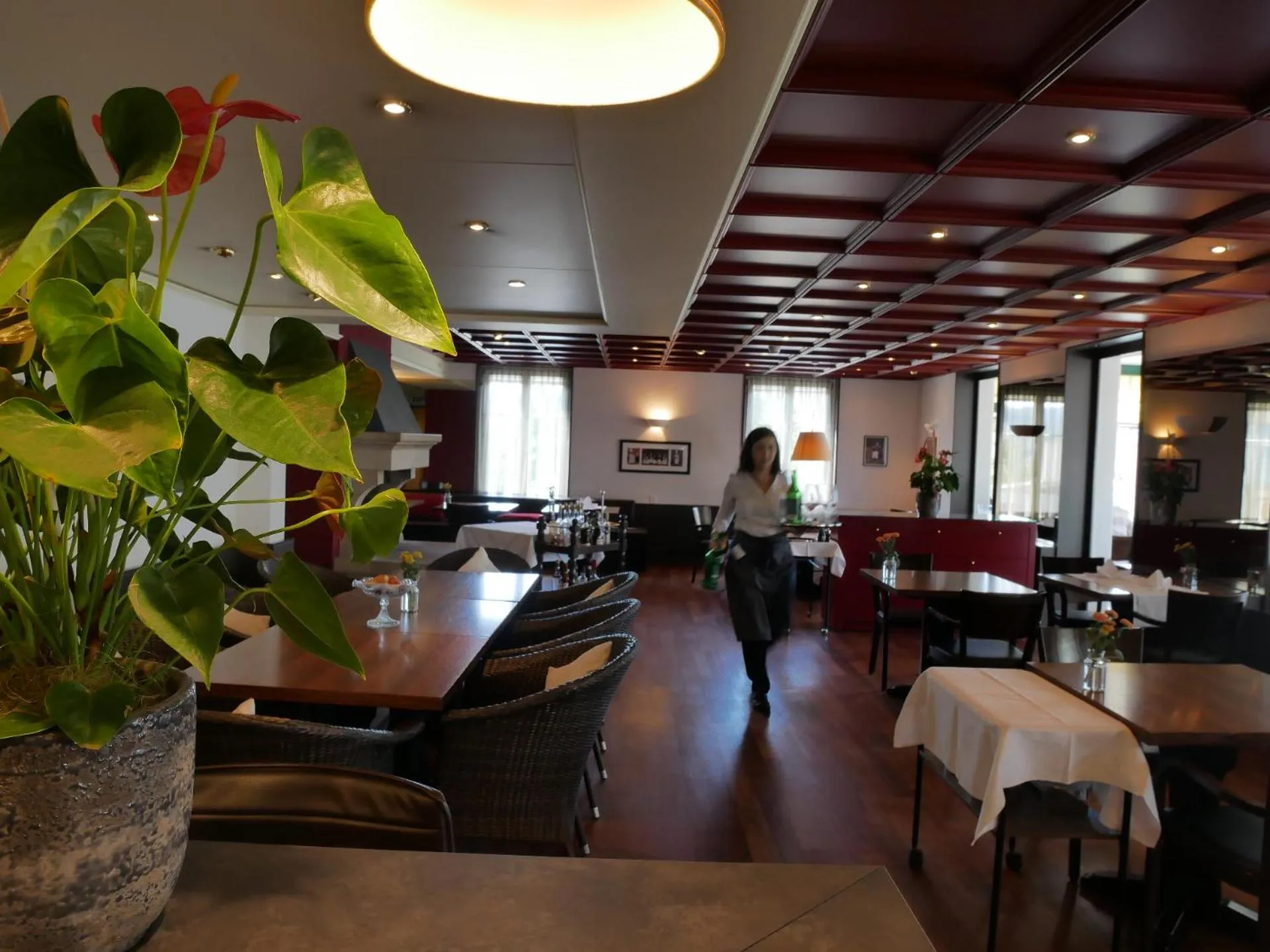 Restaurant/places to eat in Hotel Schwanen Wil