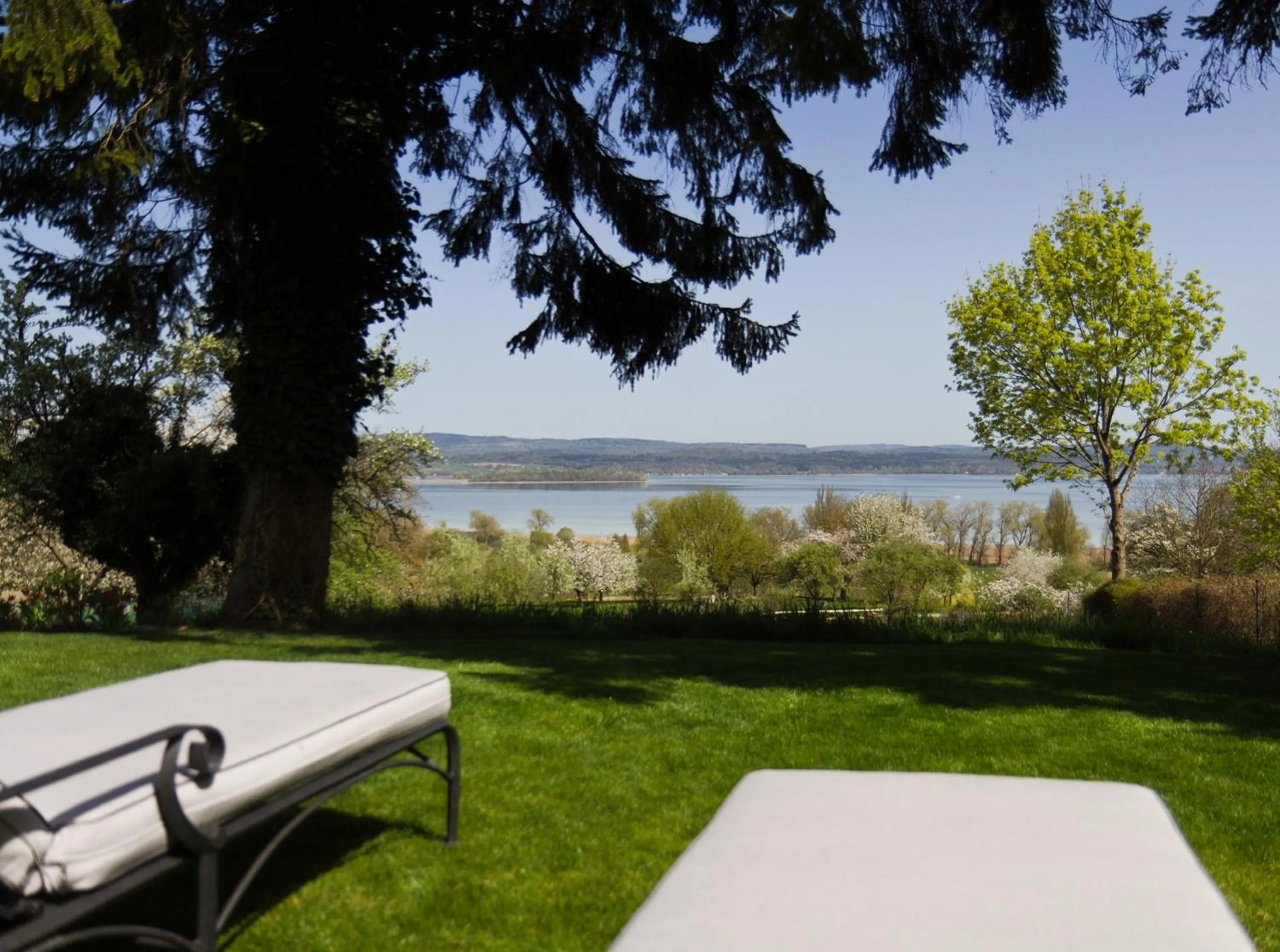 Lake view in Historisches Gasthaus Hotel Hirschen Horn