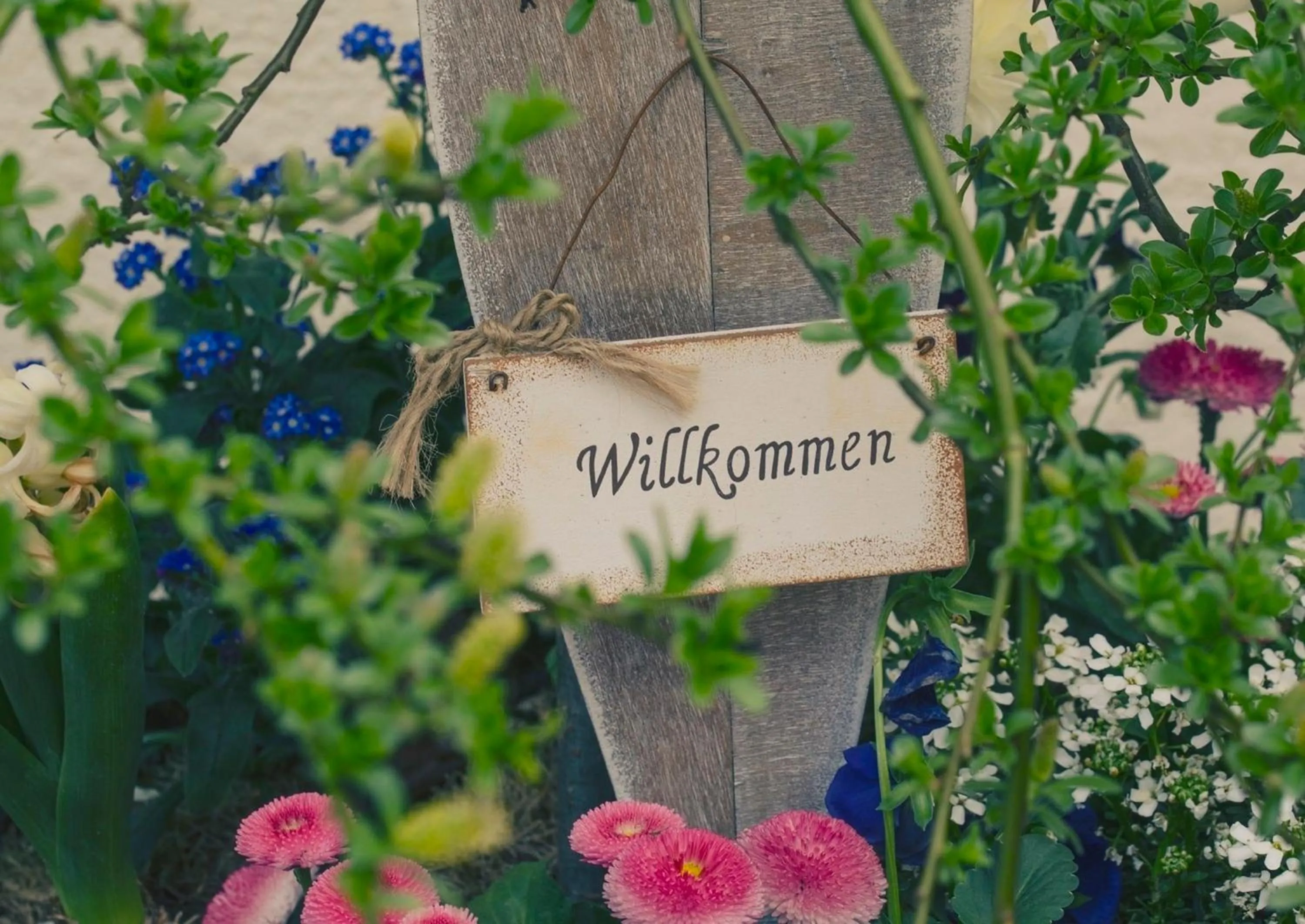 Spring in Historisches Gasthaus Hotel Hirschen Horn