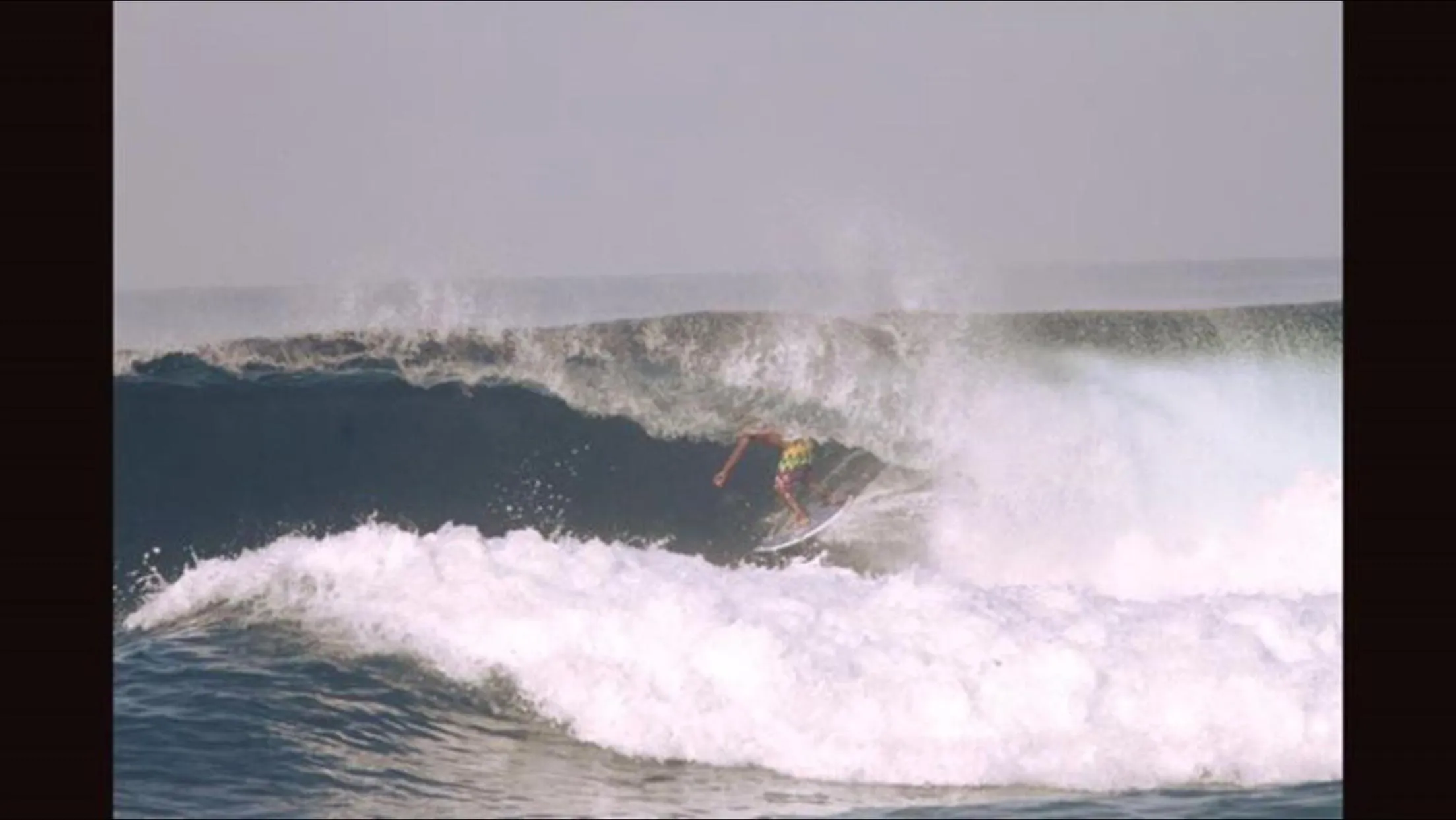 The Tree House Sumbawa