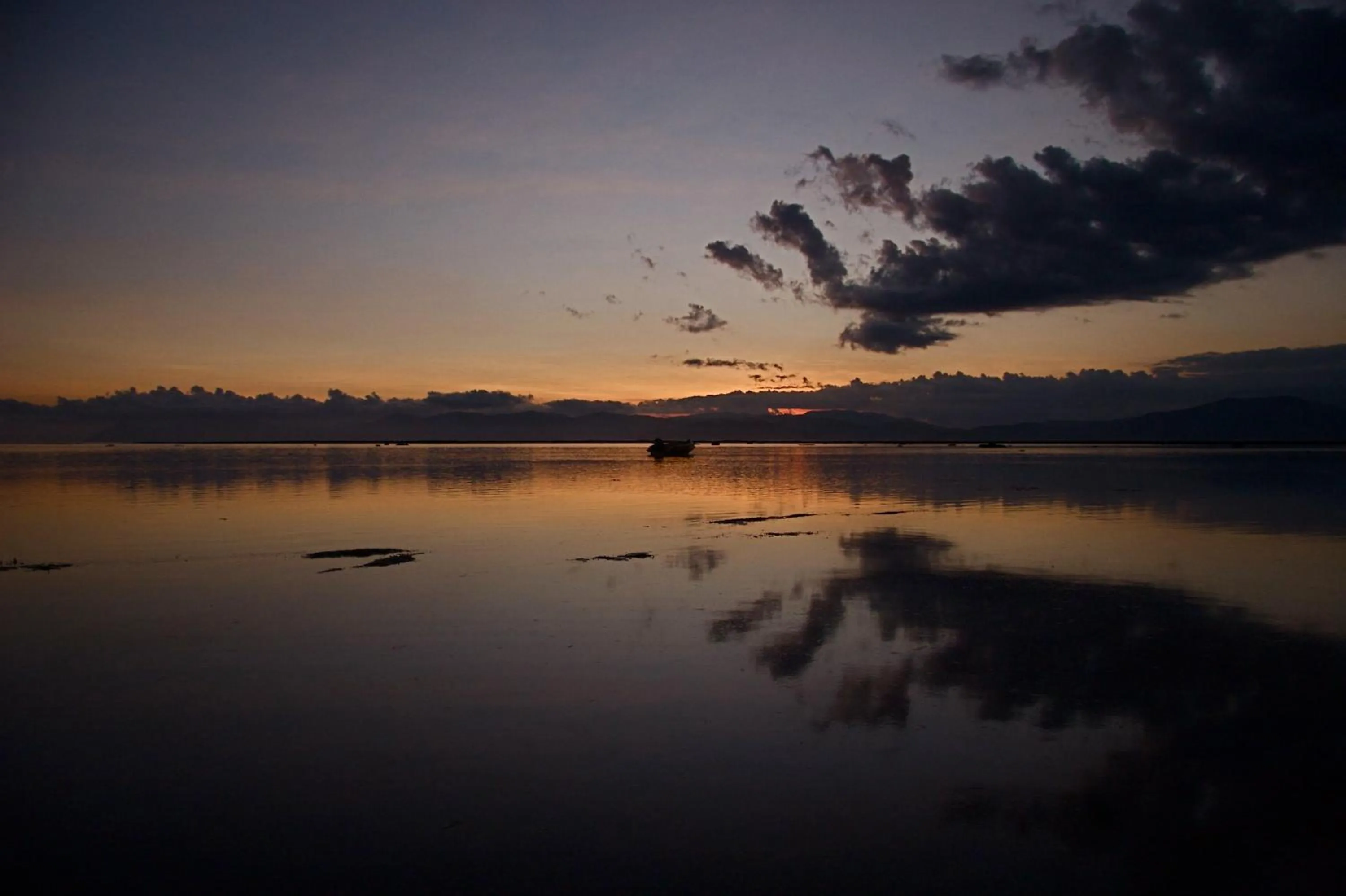 Property building in The Tree House Sumbawa
