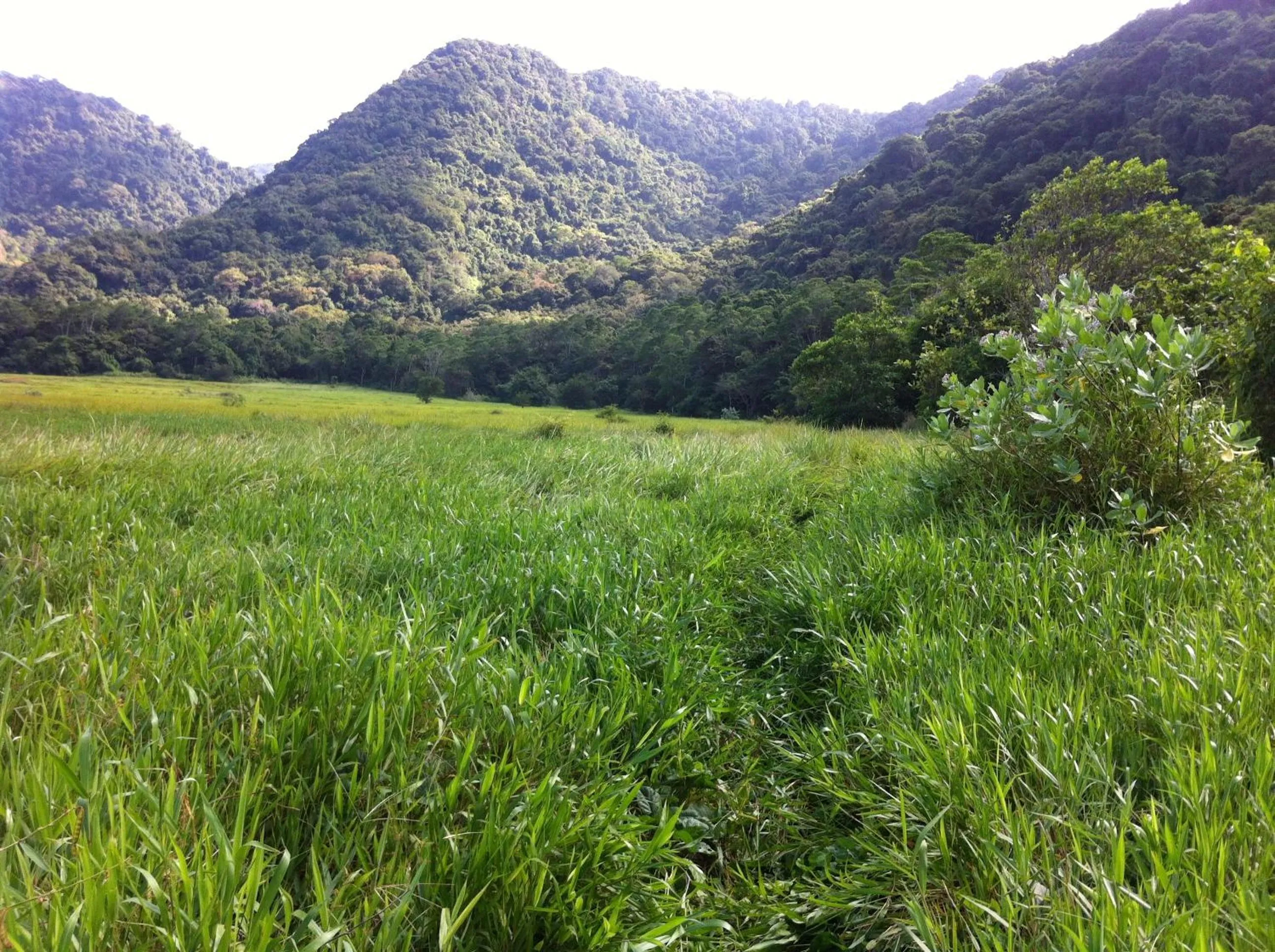 Property building in The Tree House Sumbawa