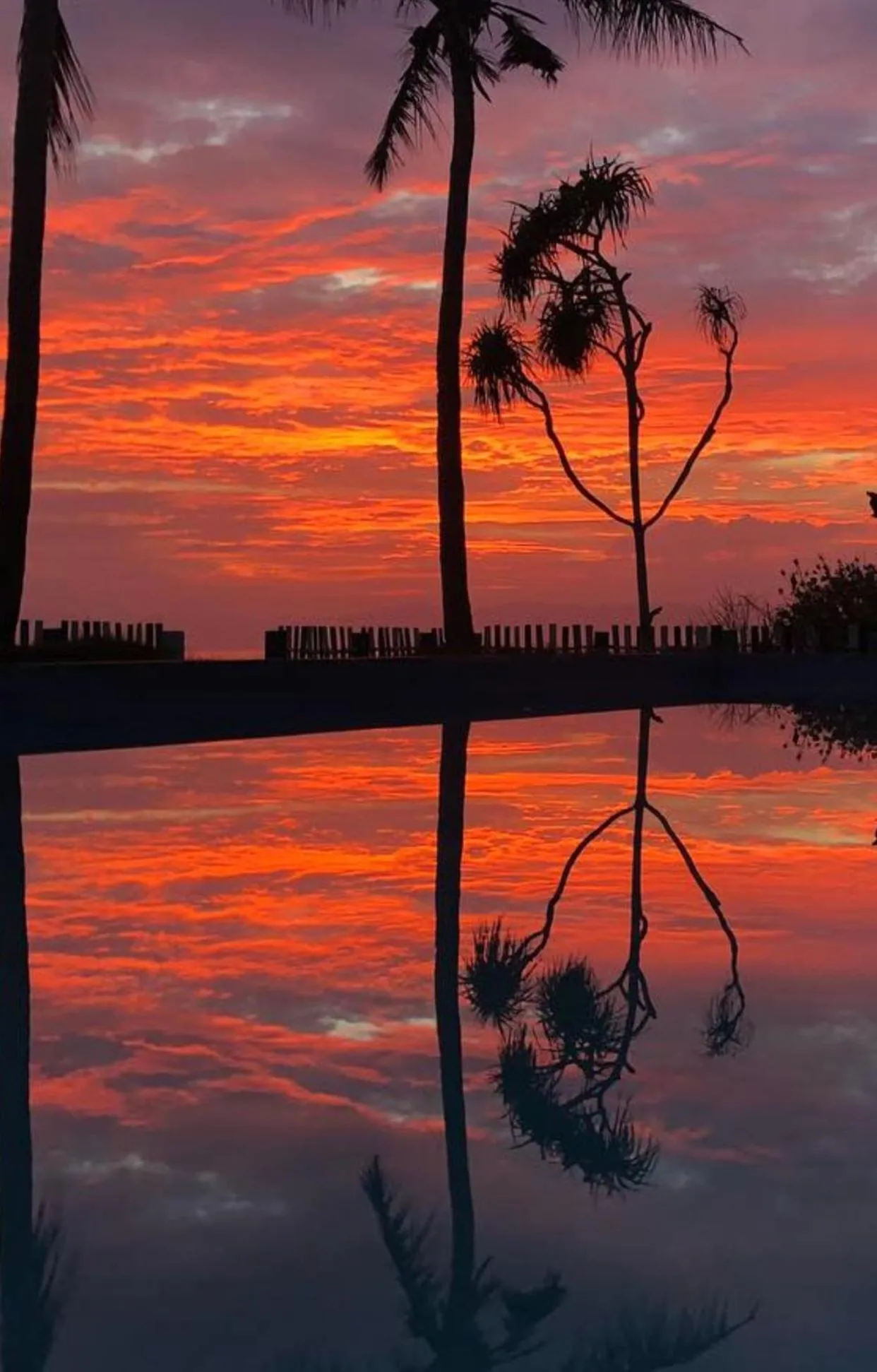 The Tree House Sumbawa