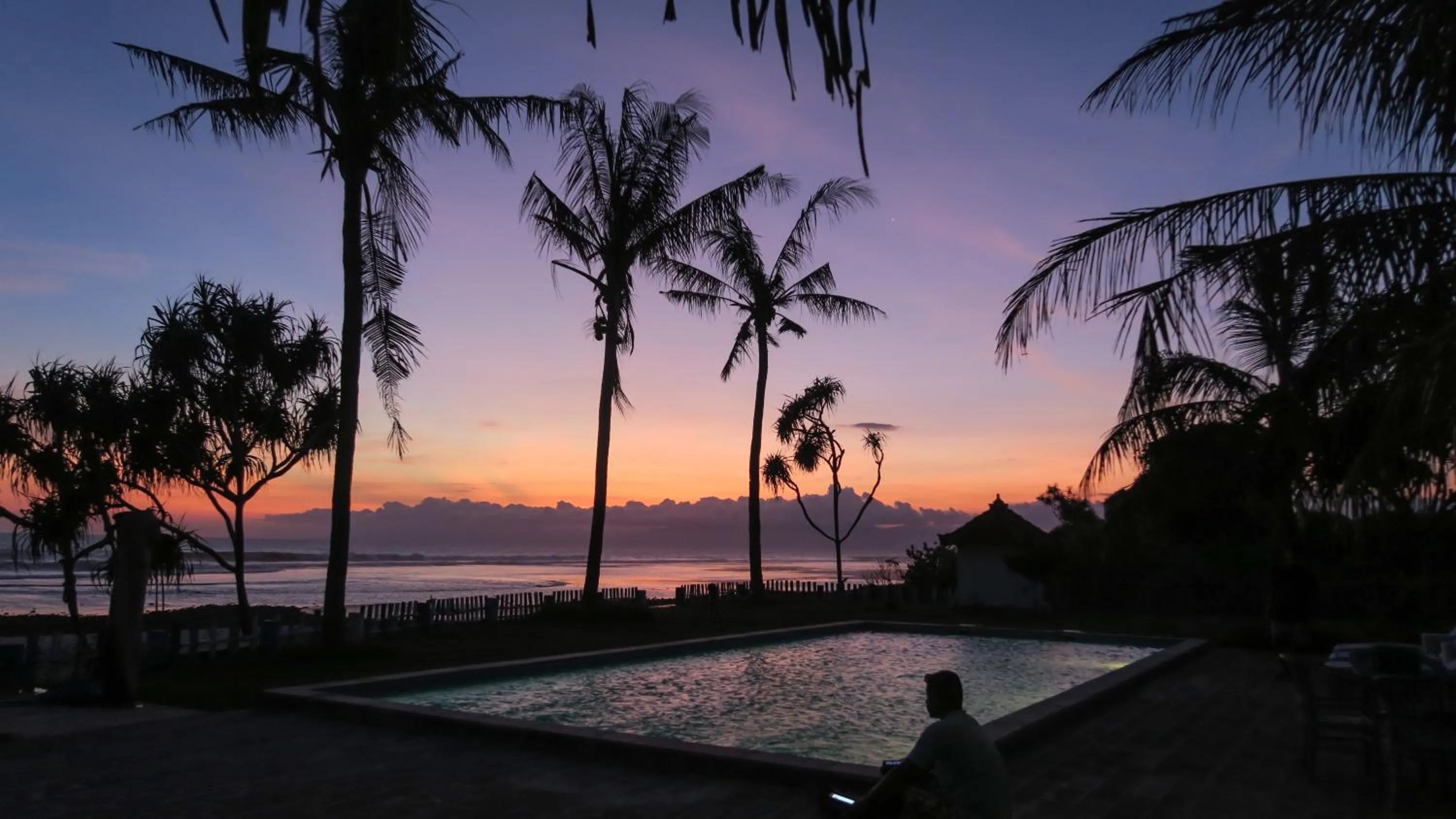 The Tree House Sumbawa