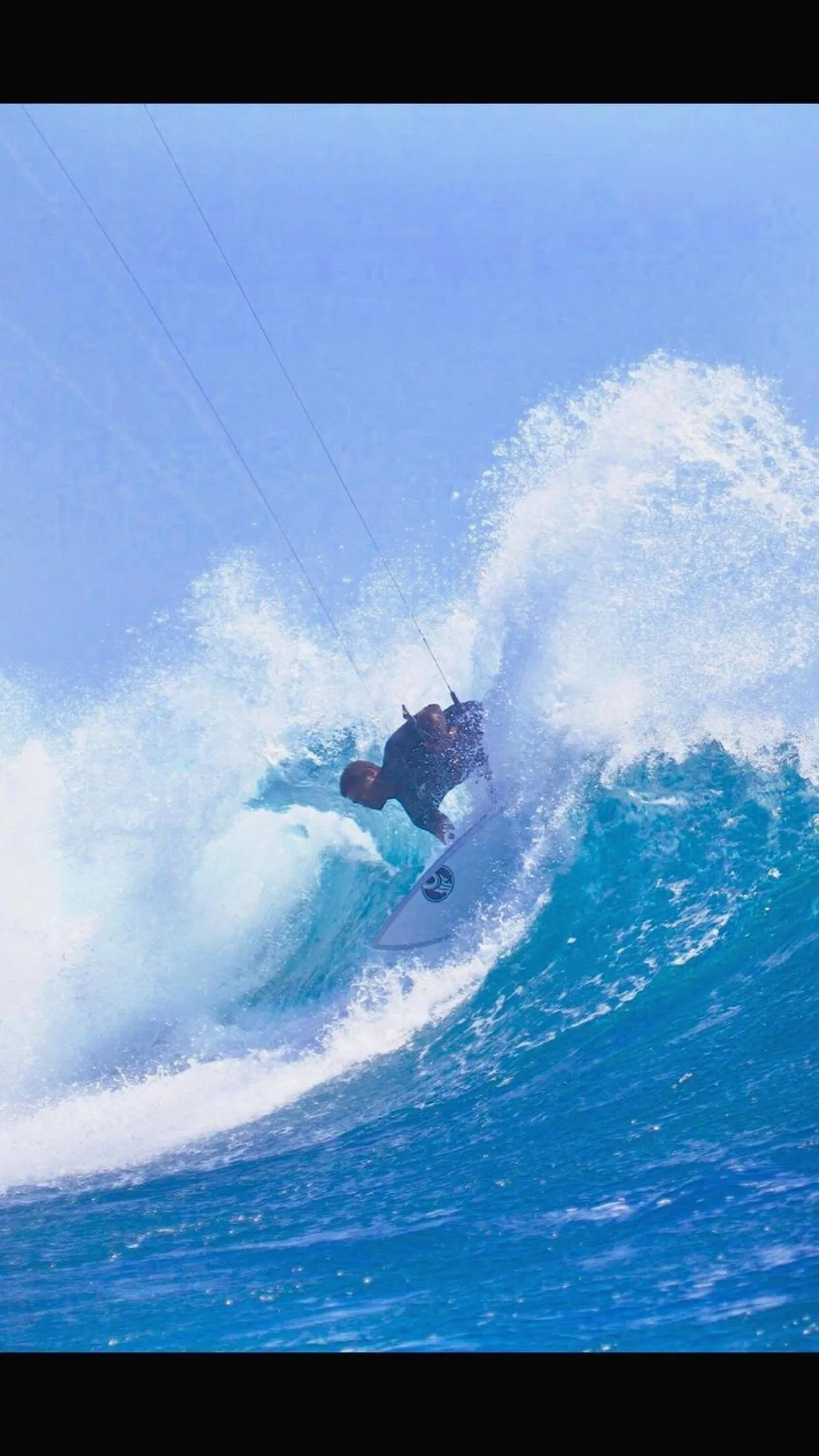 The Tree House Sumbawa