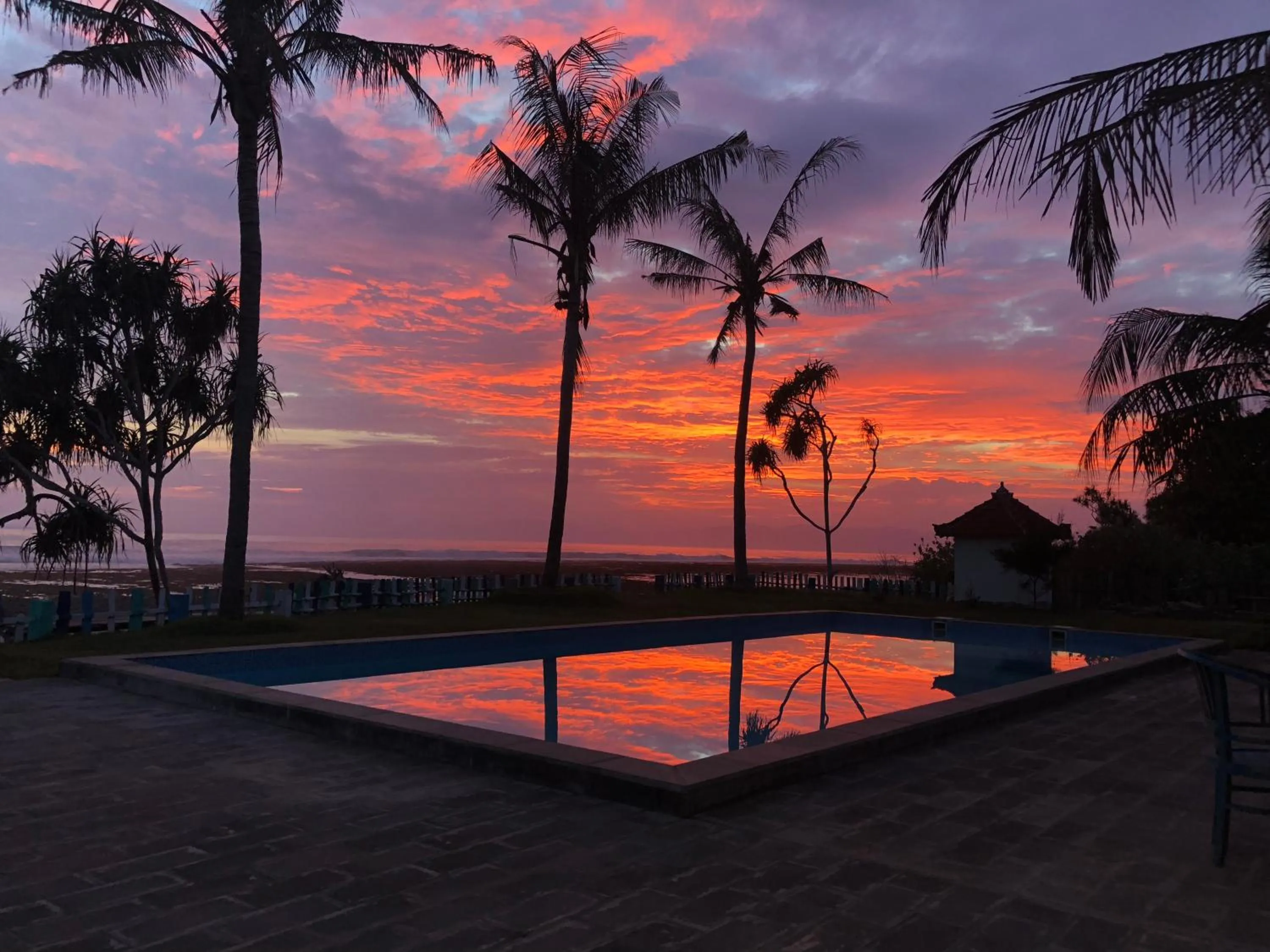 The Tree House Sumbawa