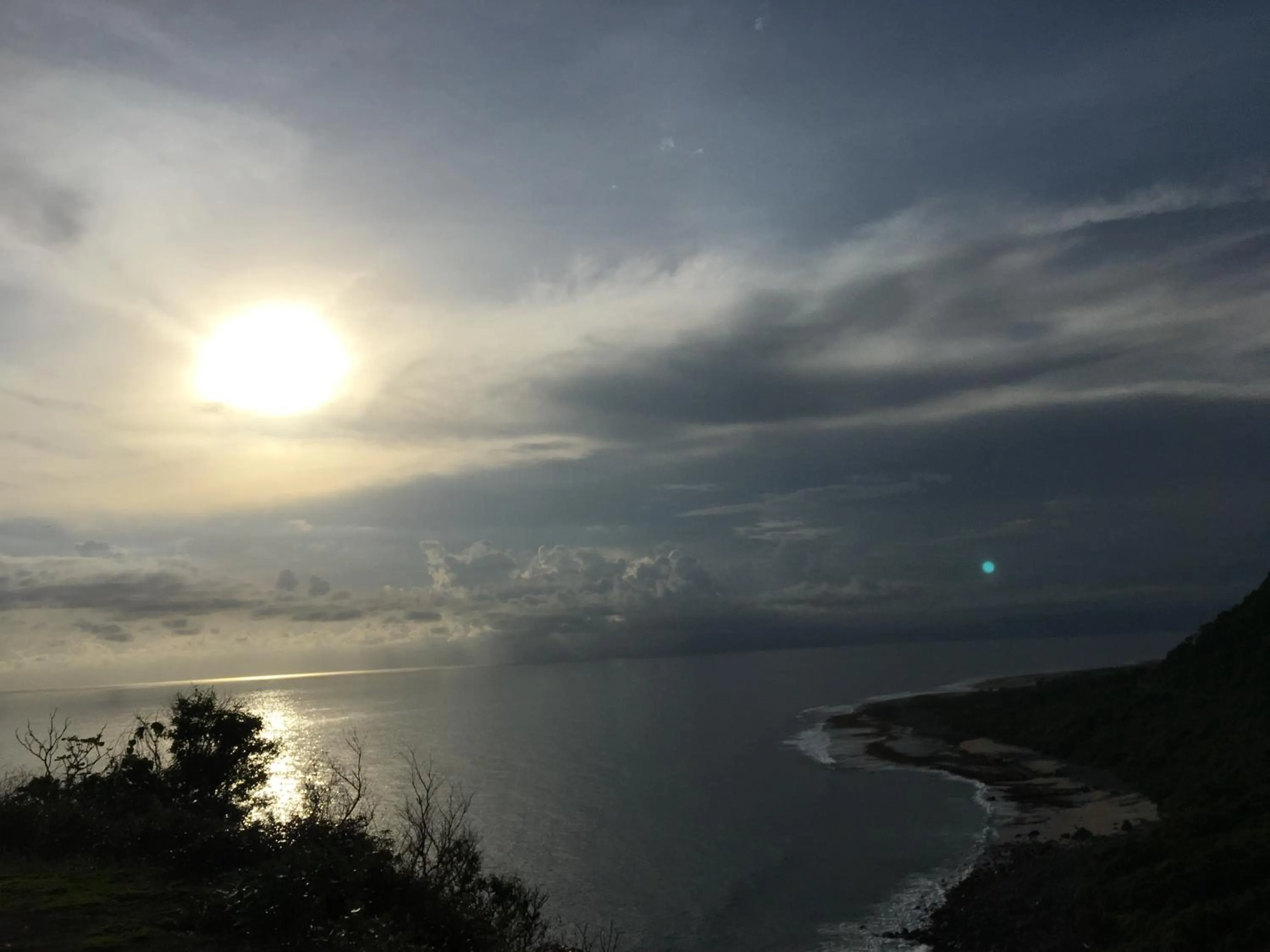 The Tree House Sumbawa