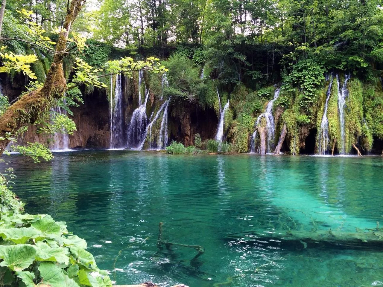Natural landscape in Fenomen Plitvice Resort