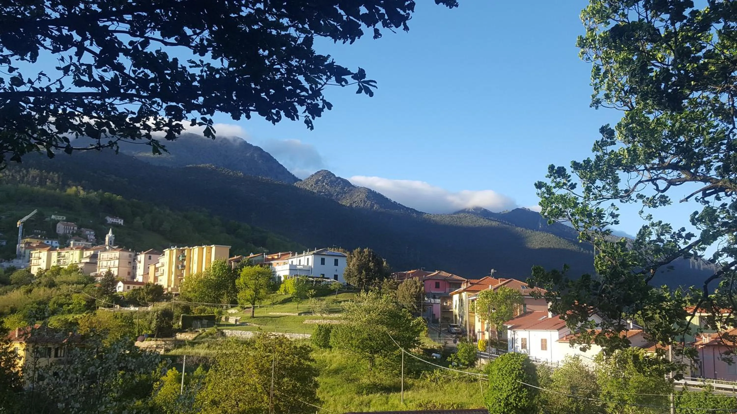 Garden in Hotel La Pineta
